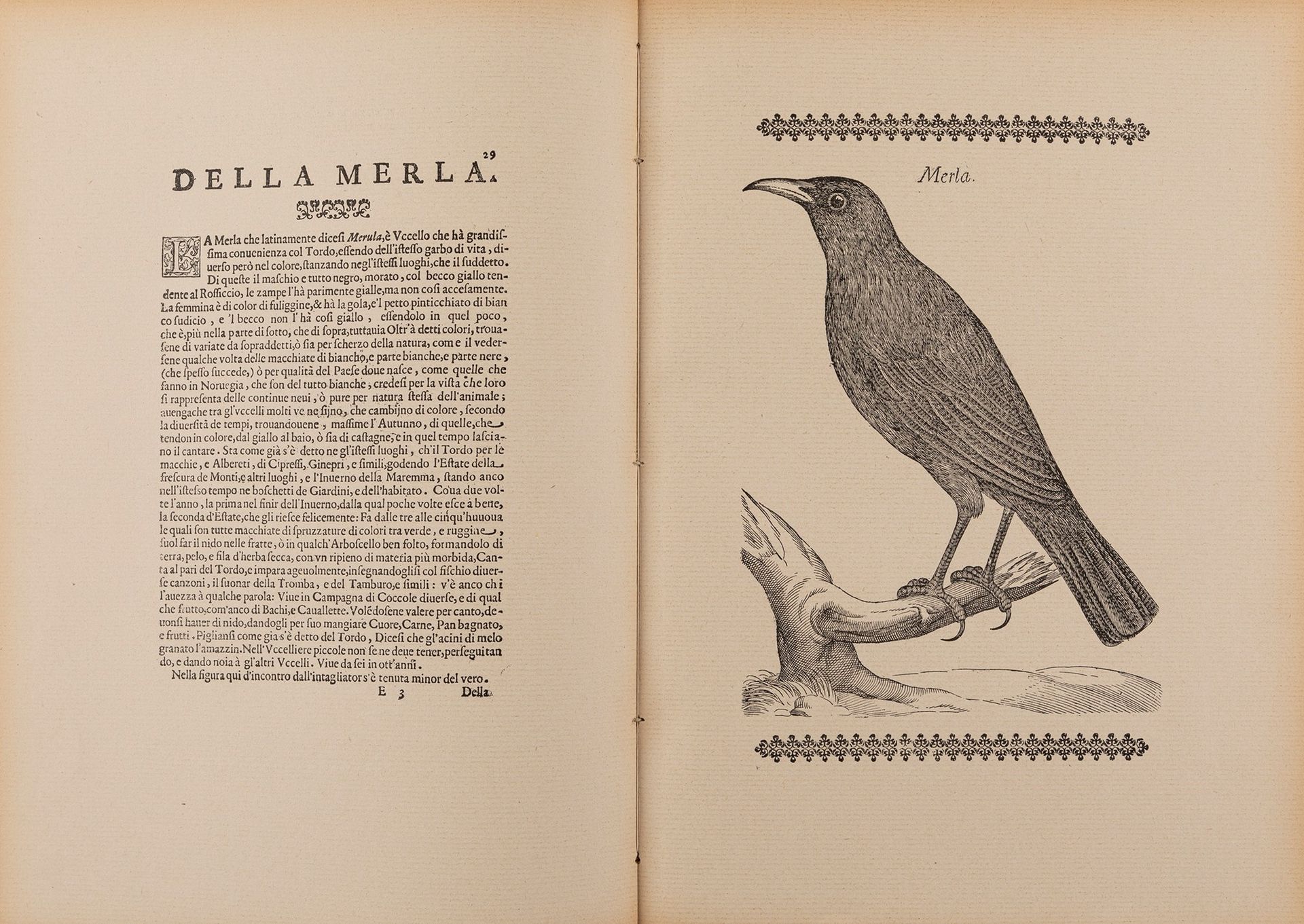 Null Volière ou discours de la nature

Bologne, Imprimerie, 1930. 344 x 250 mm. &hellip;