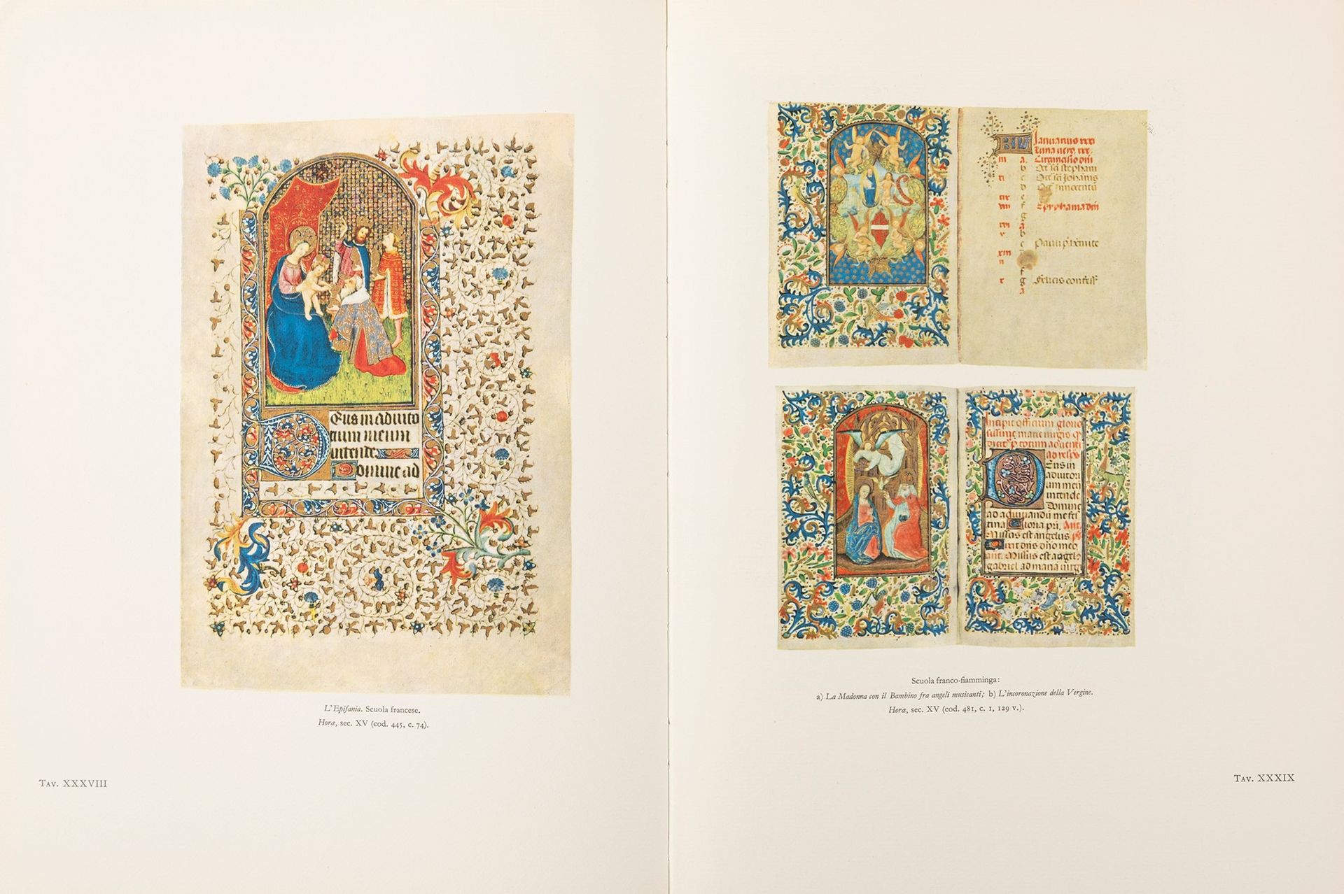 Null Trivulziana Milano - Códice de Leonardo da Vinci en la Biblioteca del Prínc&hellip;