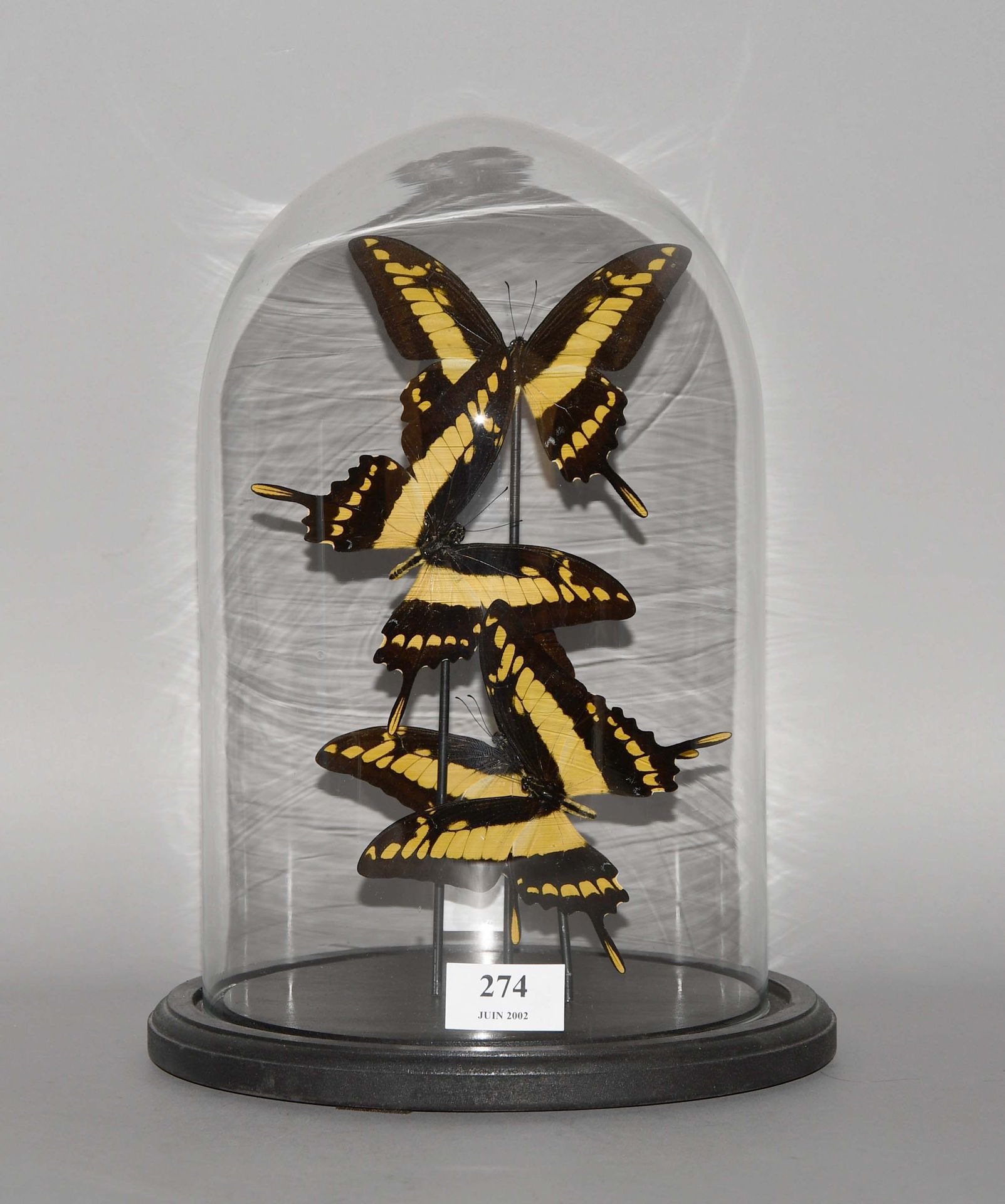 Null Globo de cristal soplado con cuatro mariposas