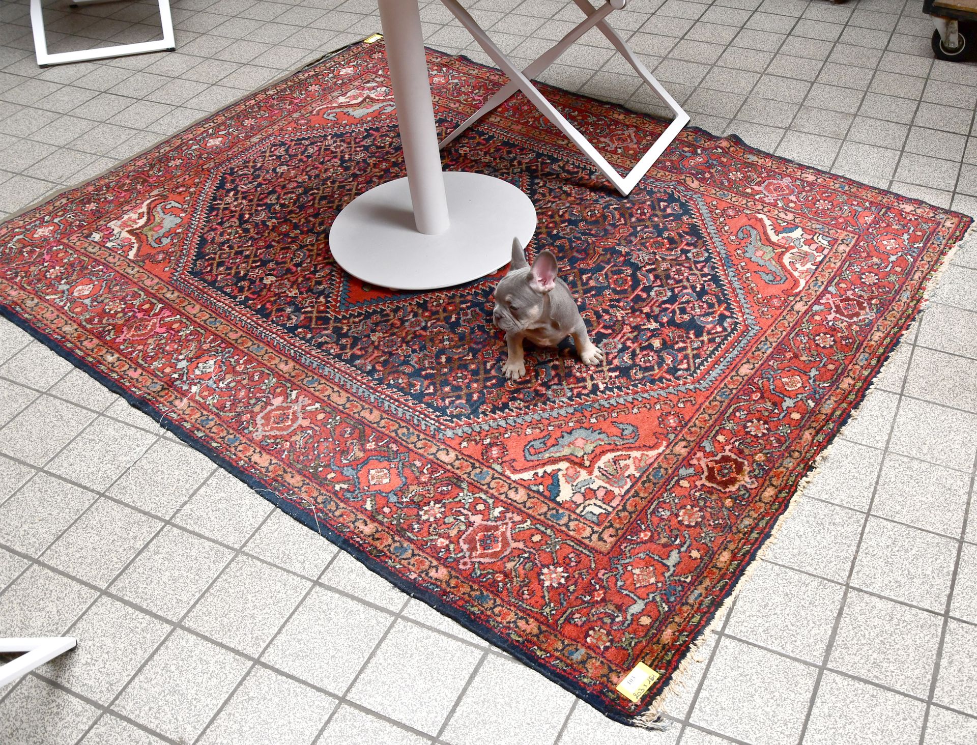 Null Teppich

Alter iranischer Orientteppich.

Maße: 203 cm x 151 cm.