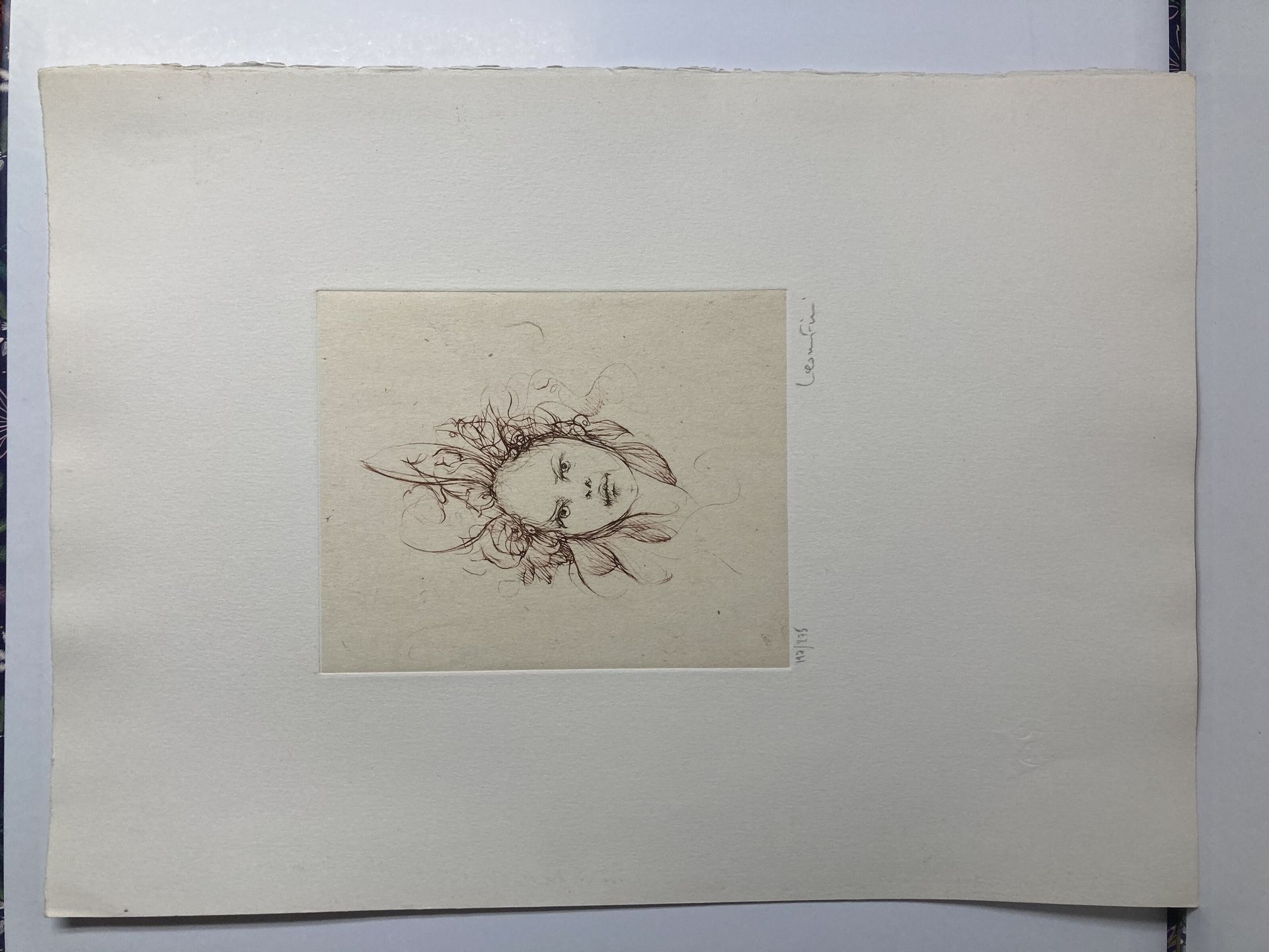 Null Léonor FINI (1907-1996)

Tête de femme 

Lithographie signée et numérotée 1&hellip;