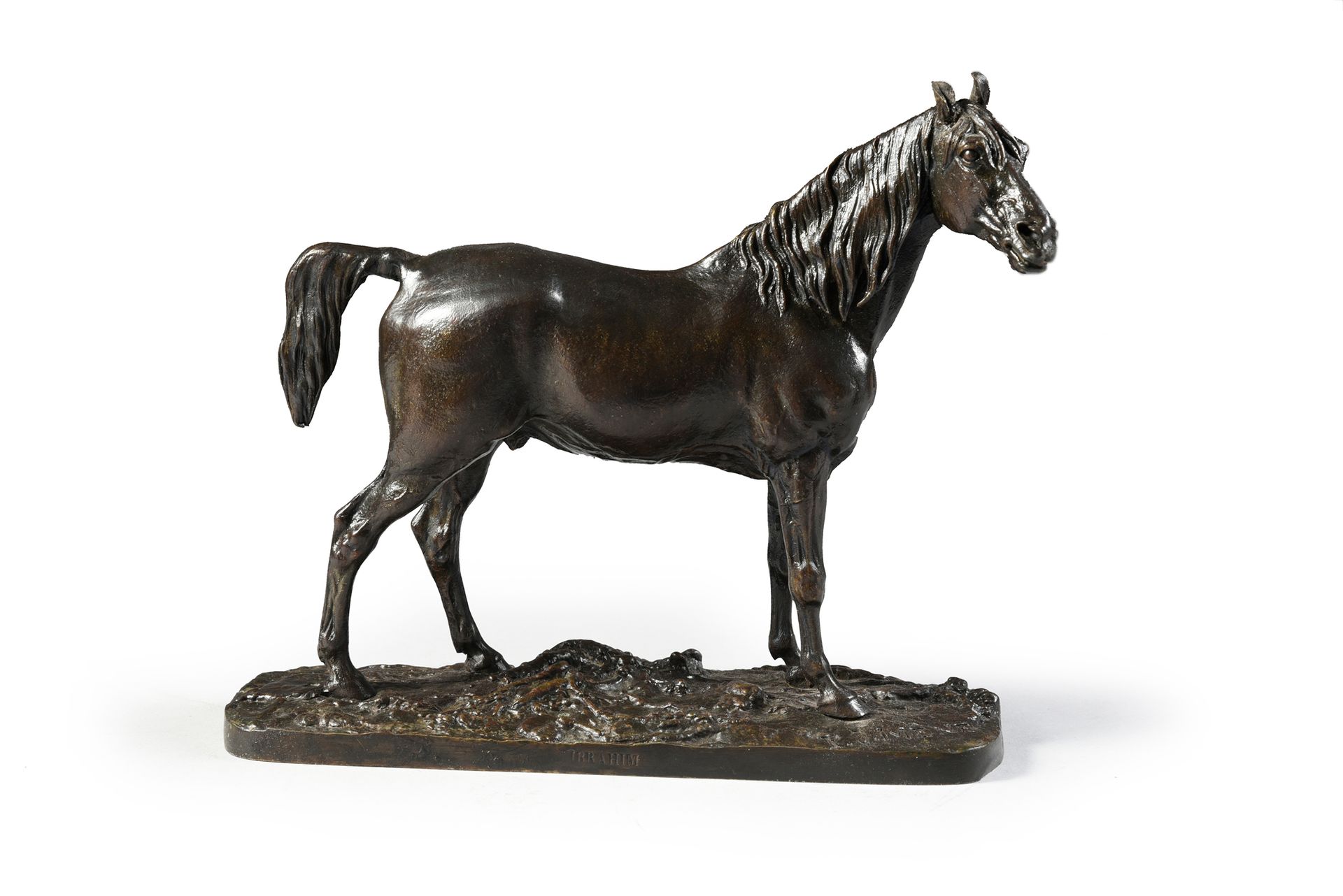 Pierre-Jules MENE (1810 - 1879) Ibrahim. Arabisches Vollblutpferd.
Bronze mit br&hellip;