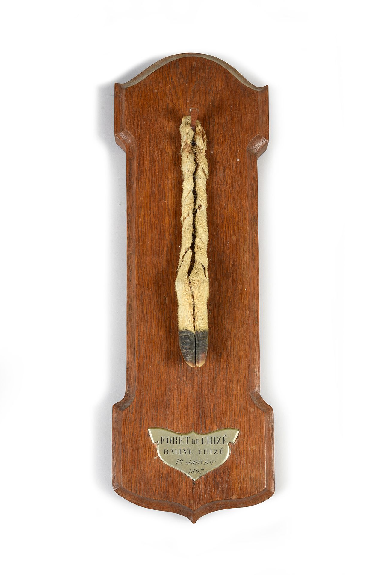Null Chizé拉力赛（1883-1908年）的荣誉脚，给了Saint Legier伯爵和Lauzon先生，带有Forêt de Chizé牌匾，1897年&hellip;