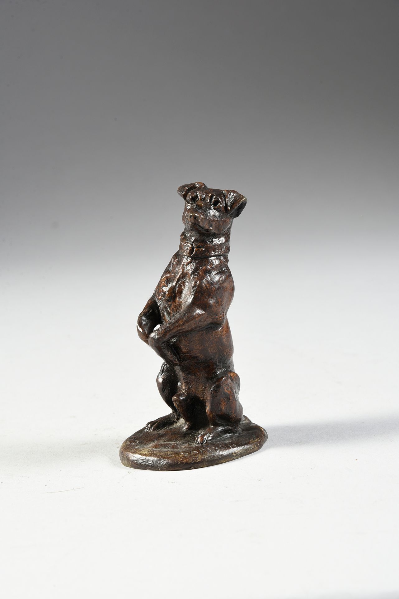 E SAMSON (Actif à la fin du XIXe - début XXe siècle) 嘴上有糖的狗
带有棕色铜锈的青铜，老式铸造。
，高：1&hellip;