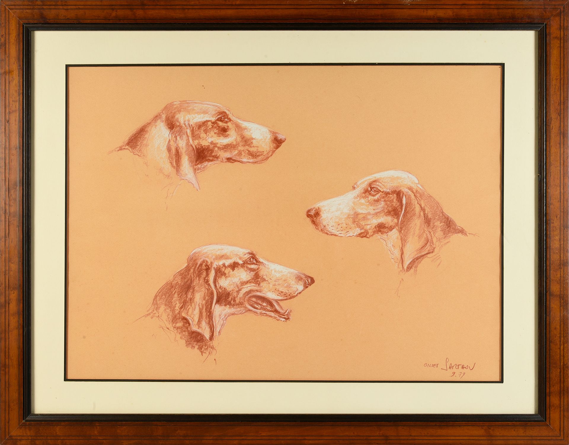 Gilles Sarthou (1953) 三只猎犬的头像。
，右下角有签名和日期，1979年。
42 x 58 cm