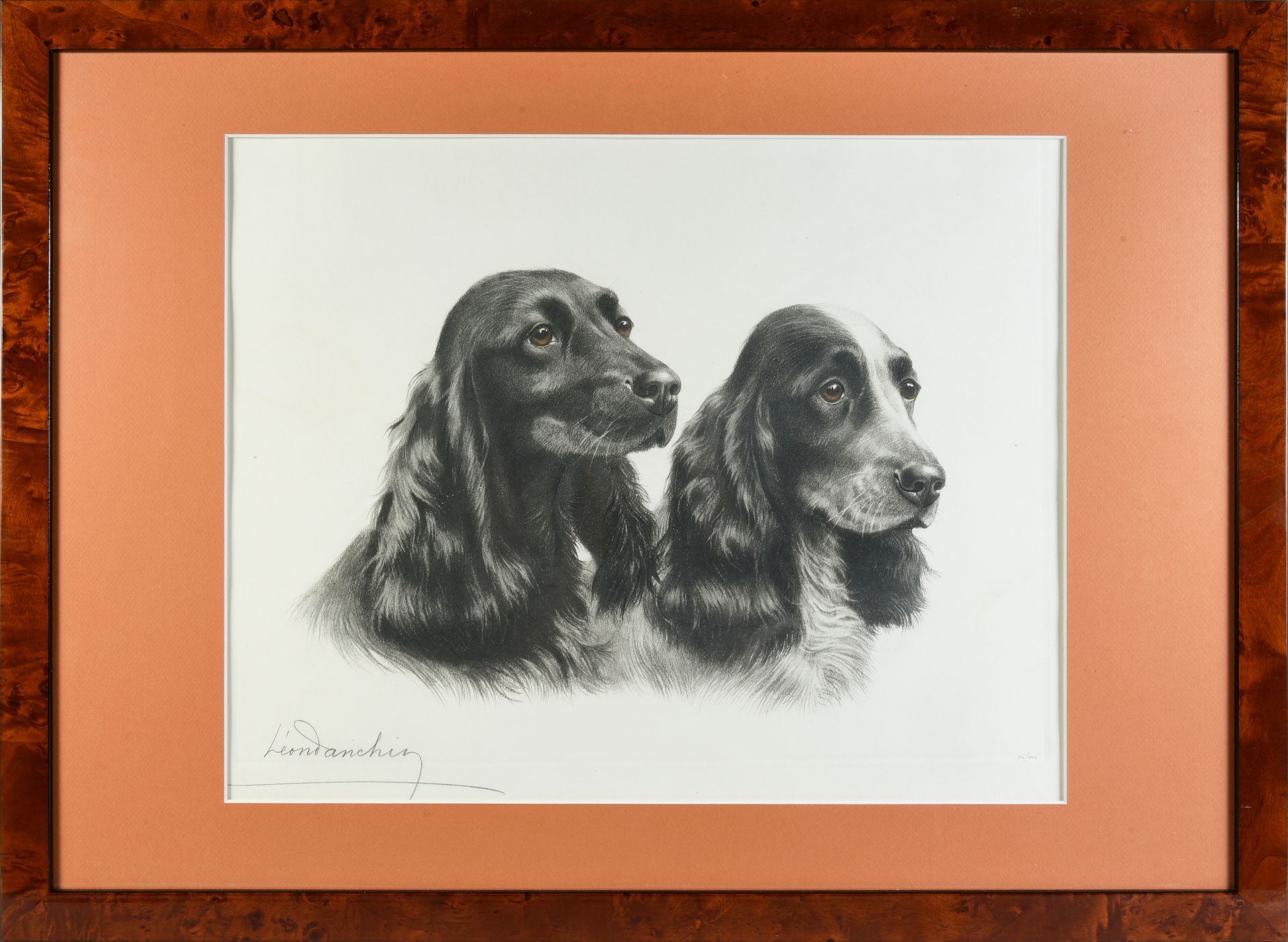 Léon DANCHIN (1887 - 1938) 两只可卡犬的头。
左下角有签名和编号的雕版画
39 x 49 cm