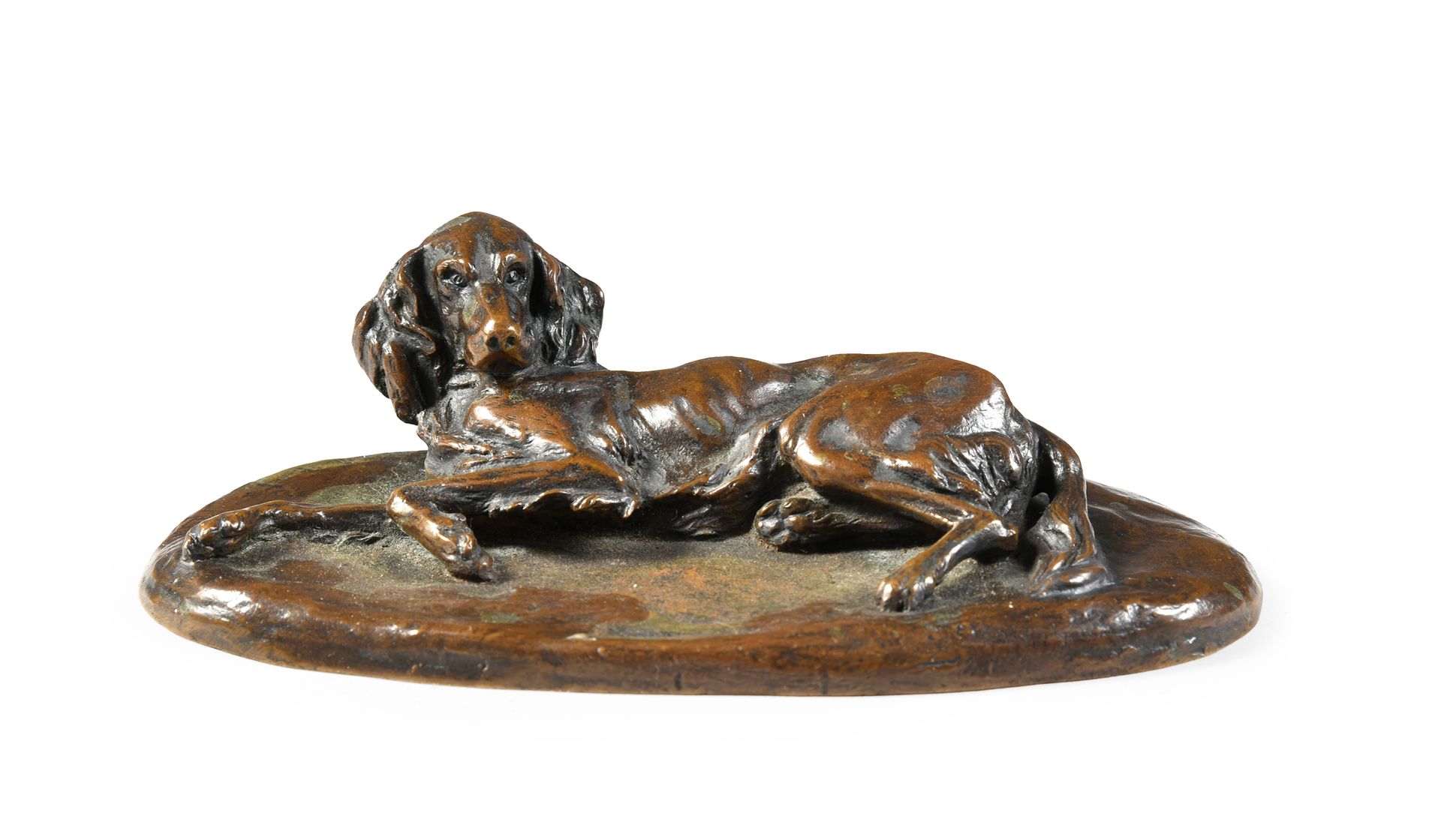 Joseph Nicolai PABST (1879 - 1950) 休息中的爱尔兰猎犬。
带有棕色铜锈的青铜，有达姆施塔特的签名。
大约1910年。
宽：16&hellip;