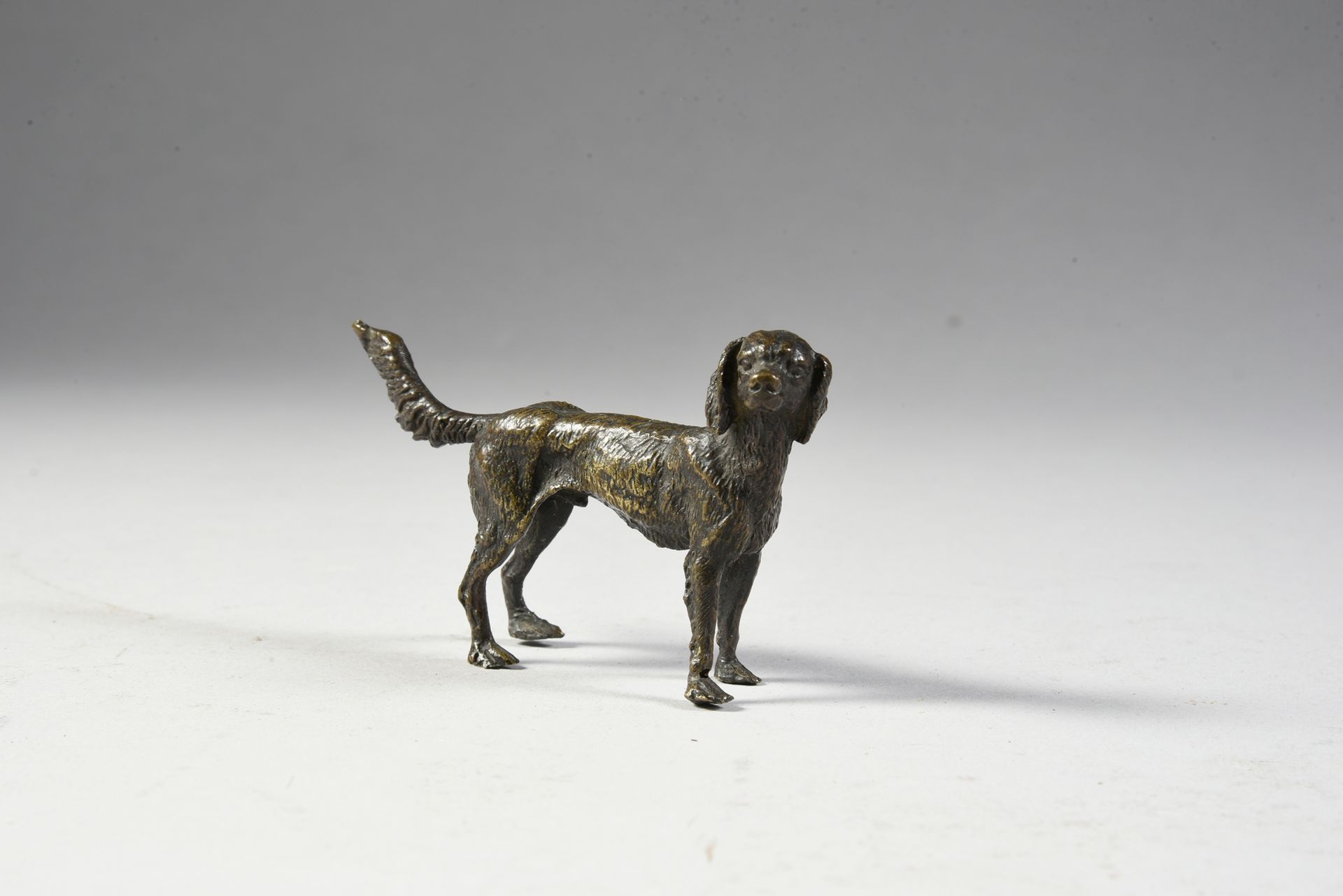 Null 一对维也纳青铜器
两只西班牙犬。
一只站着，有棕色的铜锈，另一只静止不动。
以前是在基座上。
长：7厘米和9厘米。