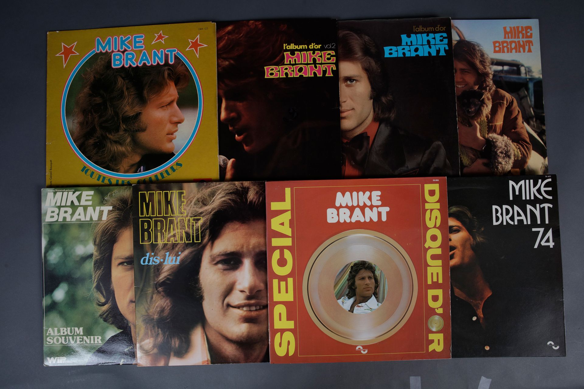 Null 迈克-布兰特
艺术家的1套8张黑胶唱片，由CBS、Sonopresse、Polydor和WIP唱片公司在1971至1975年间在法国出版。完美的状态。