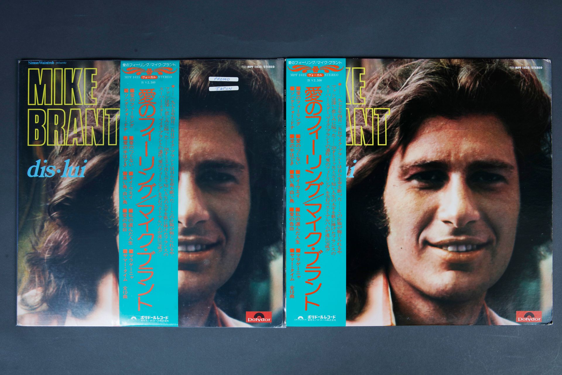 Null 迈克-布兰特
1套2张唱片包括1张宣传片，2张唱片包括1张艺术家的宣传片，1975年在日本发行。