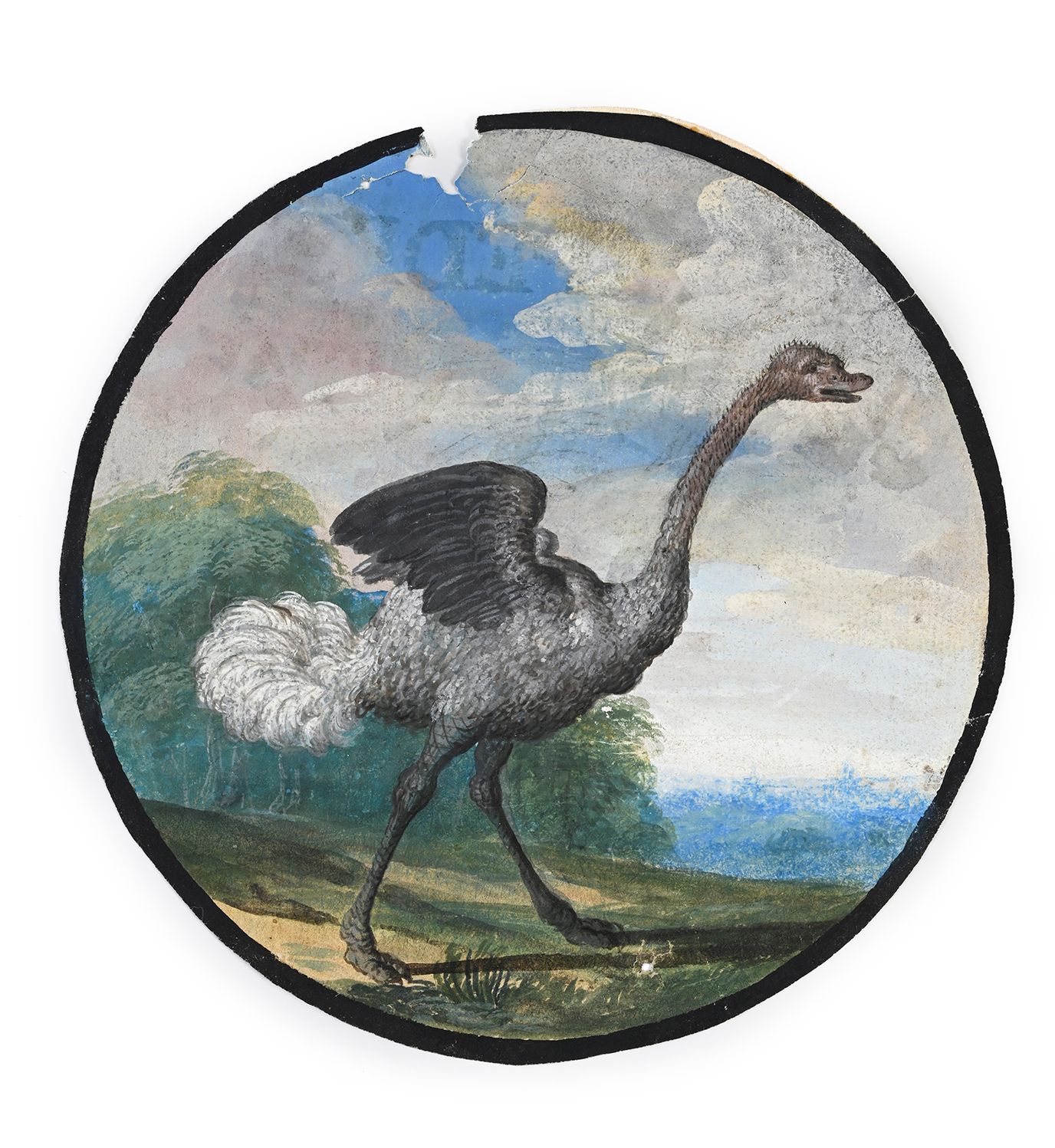 Ecole allemande du XVIIème siècle The ostrich
Gouache 13 cm in diameter
Small la&hellip;