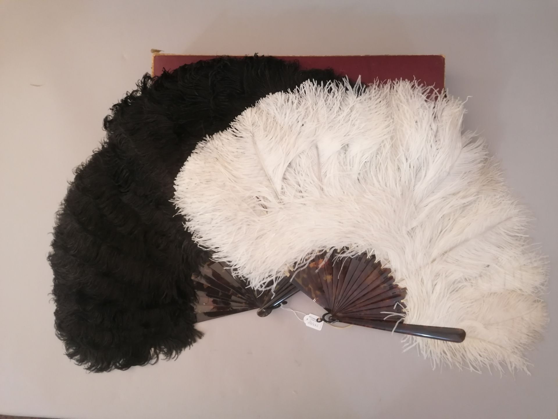 Null 两把鸵鸟羽毛扇，欧洲，约1890年 
*一把，由黑色的鸵鸟羽毛制成。棕色玳瑁框架**。高约。44厘米。在一个盒子里（事故） *另一个，用白色的鸵鸟羽毛&hellip;