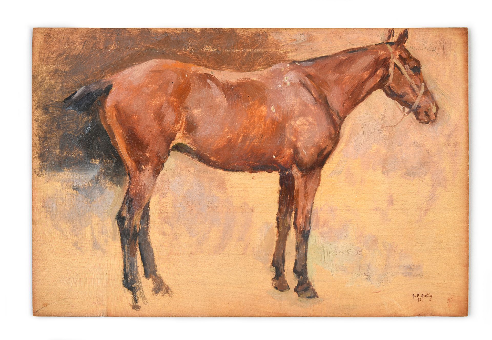 Georges Frédéric ROTIG (1873 - 1961) 马》。
面板油画，右下角有签名和日期。
D.15.6 x 23.7厘米。