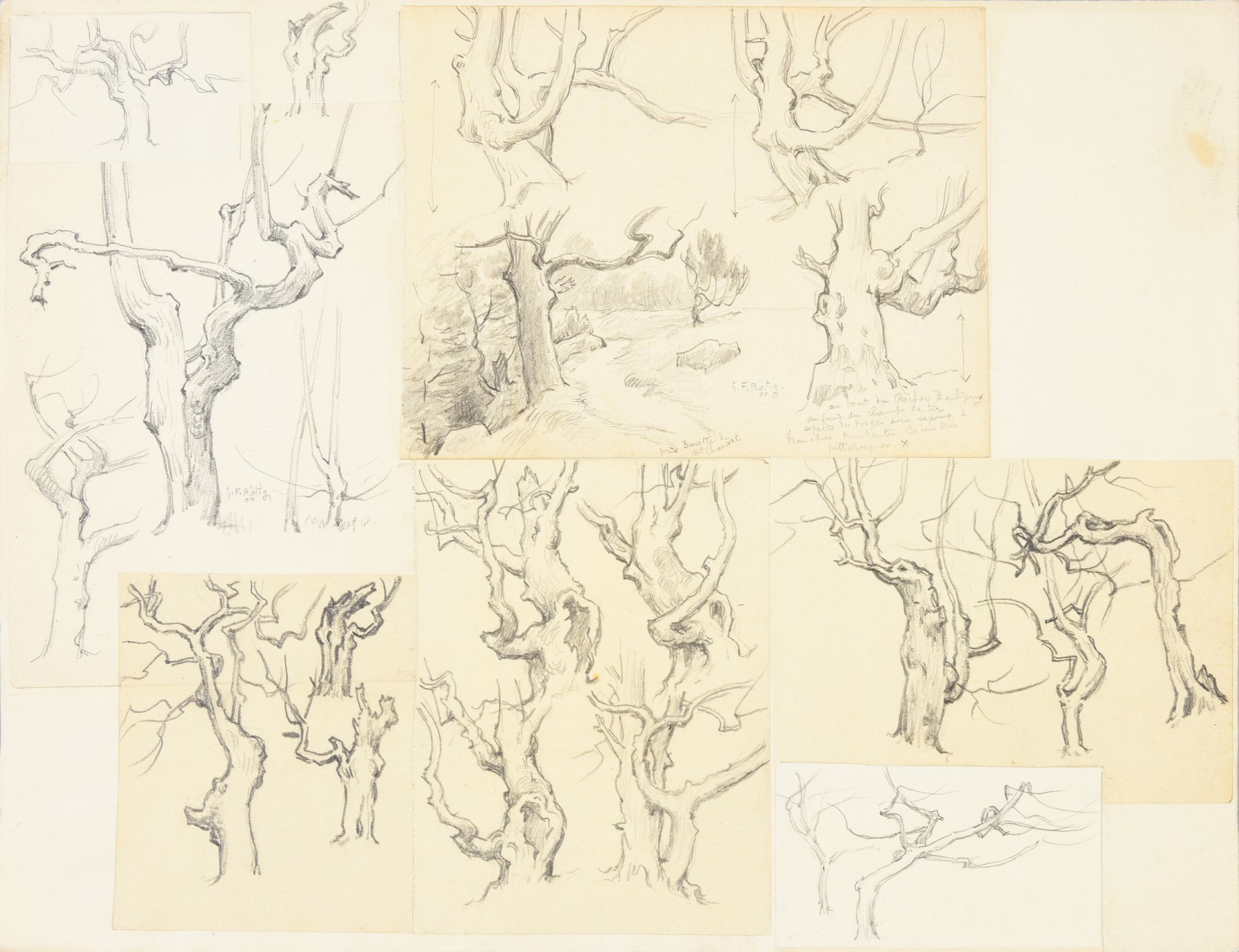 Georges Frédéric ROTIG (1873 - 1961) Etudes d'arbres.
Crayon, deux signés et dat&hellip;