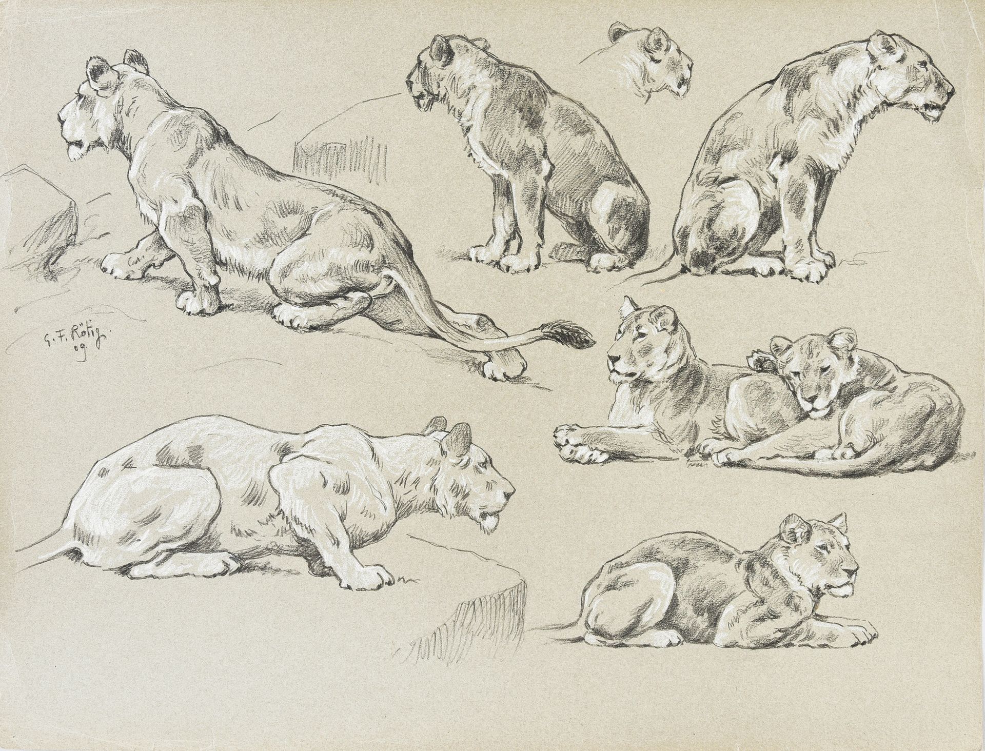 Georges Frédéric ROTIG (1873 - 1961) Studi di leoni e leoni.
Due studi a matita,&hellip;