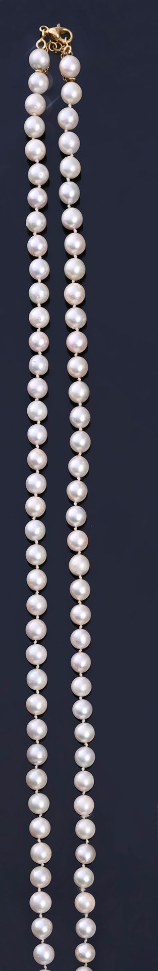 Null Collar largo de perlas cultivadas (aprox. 12 mm).
Cierre con mosquetón de o&hellip;