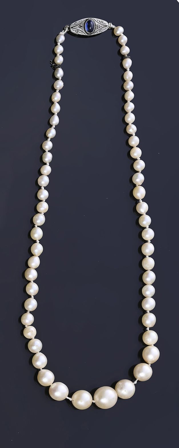 Null 珍珠项链（9 毫米至 4 毫米），18K（750 度）白金隐形棘轮扣，链扣上镶嵌一颗凸圆形蓝宝石，饰以玫瑰图案。
安全链。
长度：37 厘米 - 毛重&hellip;