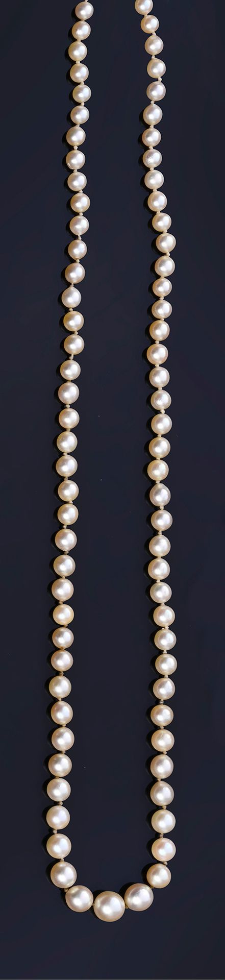 Null Collar largo compuesto por 134 perlas cultivadas (aprox. De 3,9 a 8 mm). Ci&hellip;