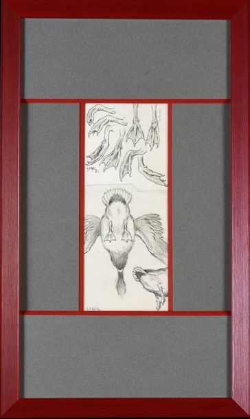 Georges Frédéric ROTIG (1873 - 1961) Etude de pattes de canard.
Crayon, signée a&hellip;