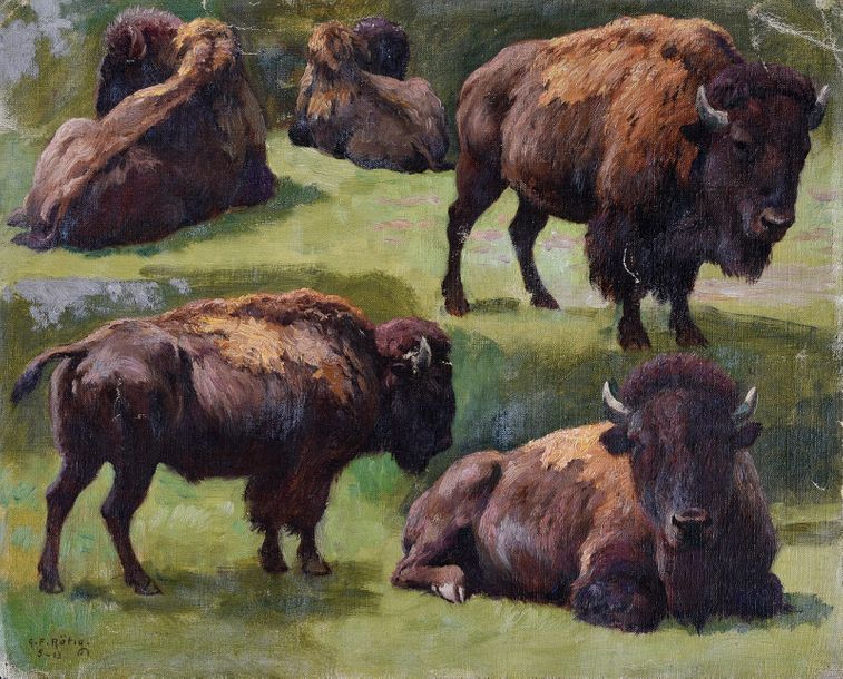 Georges Frédéric ROTIG (1873 - 1961) Etude de bison.
Toile, signée en bas à gauc&hellip;