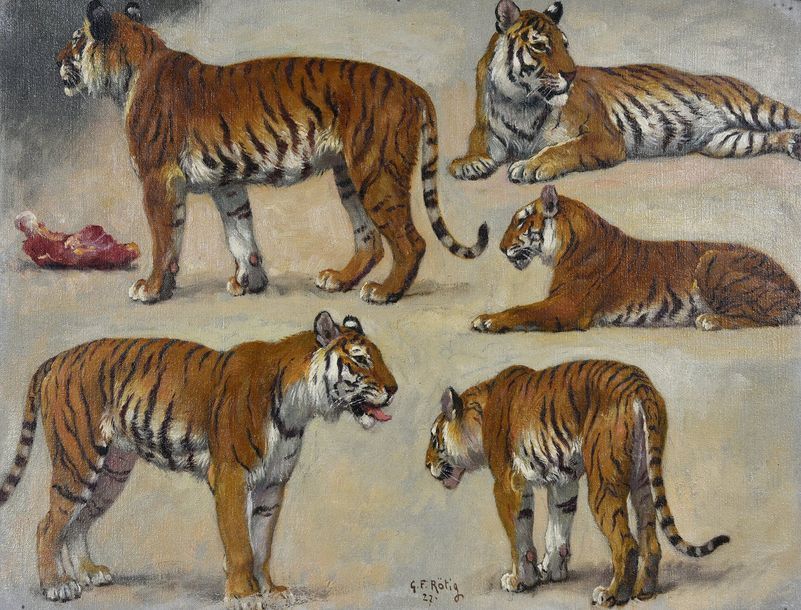 Georges Frédéric ROTIG (1873 - 1961) Etude de tigres.
Huile, signée en bas au ce&hellip;
