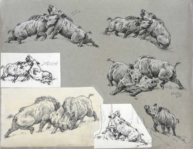 Georges Frédéric ROTIG (1873 - 1961) Etude de sangliers.
Crayon, rehauts de crai&hellip;