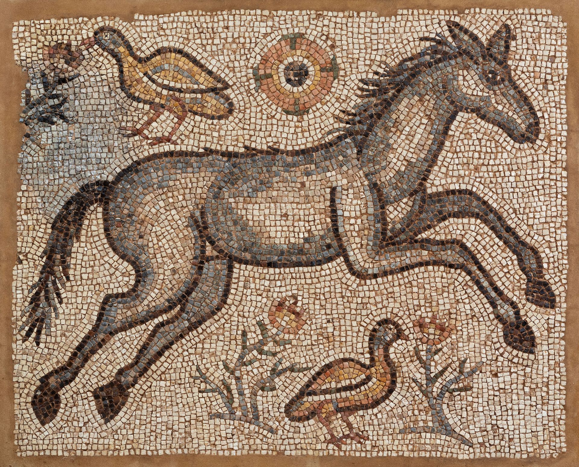 Roman mosaic from the 2nd century AD. 公元2世纪的罗马马赛克。
Opus tessellatum。
尺寸：105 x 12&hellip;