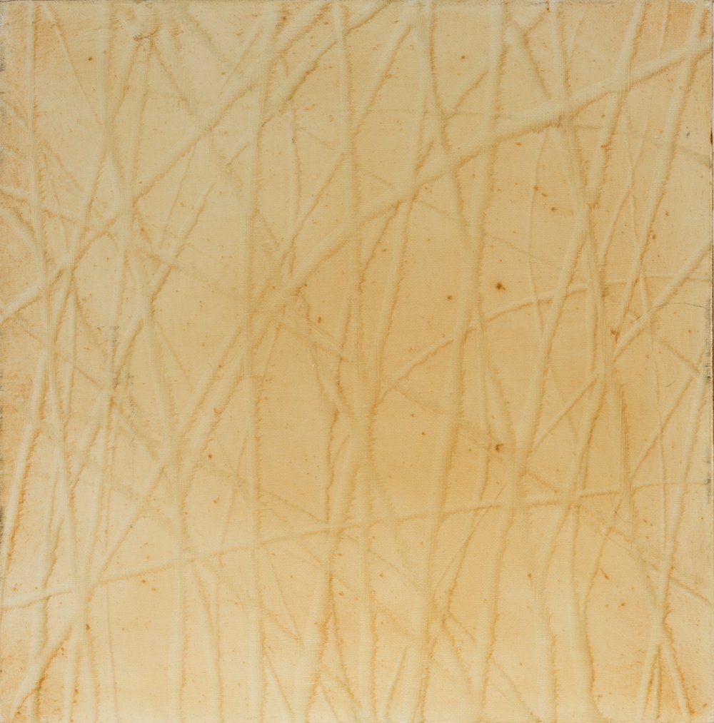 Null ANTONIO MURADO LÓPEZ (Lugo, 1964).
"Marañas", 2000.
Óleo sobre lienzo.
Firm&hellip;