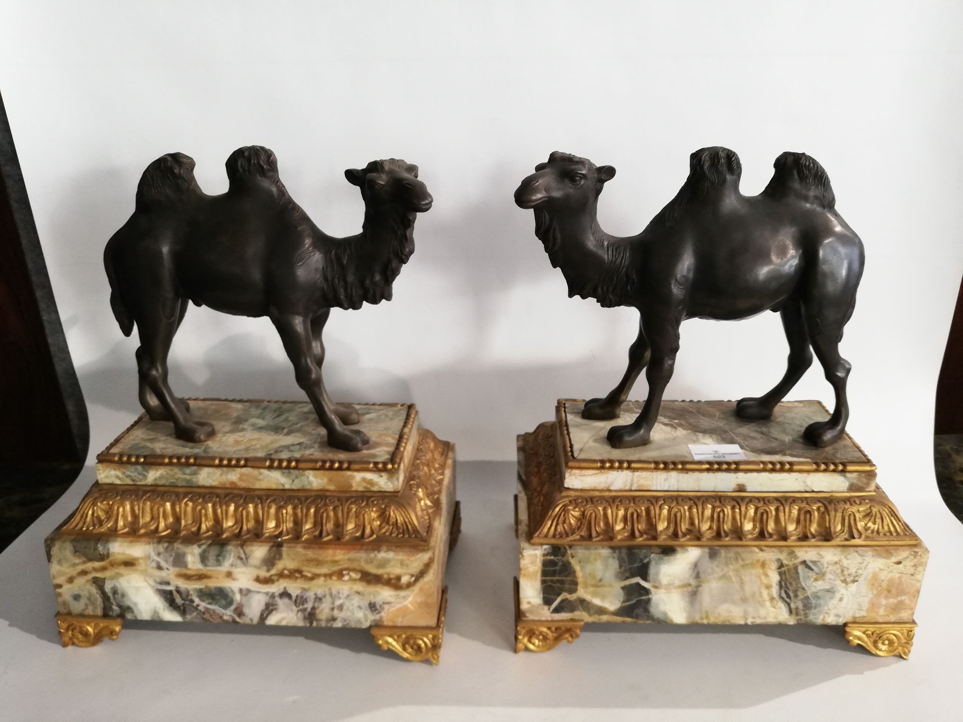 Null 
Very beautiful and interesting pair of camels in patinated bronze, marble &hellip;