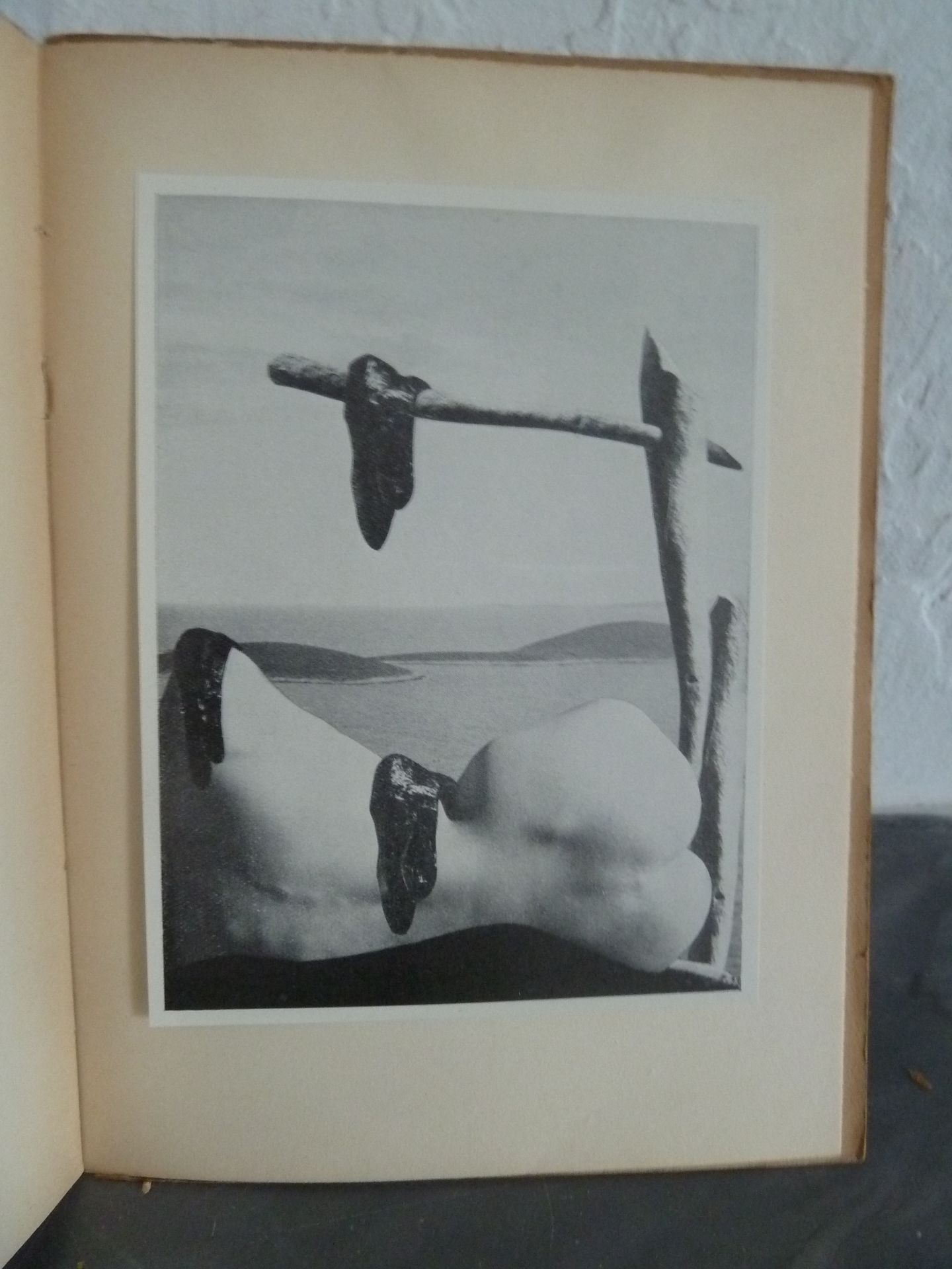 Null (Corti) BRYEN, Camille (MICHELET, Raoul):诗意的行动。巴黎：René Debresse, 1935年。12°平&hellip;
