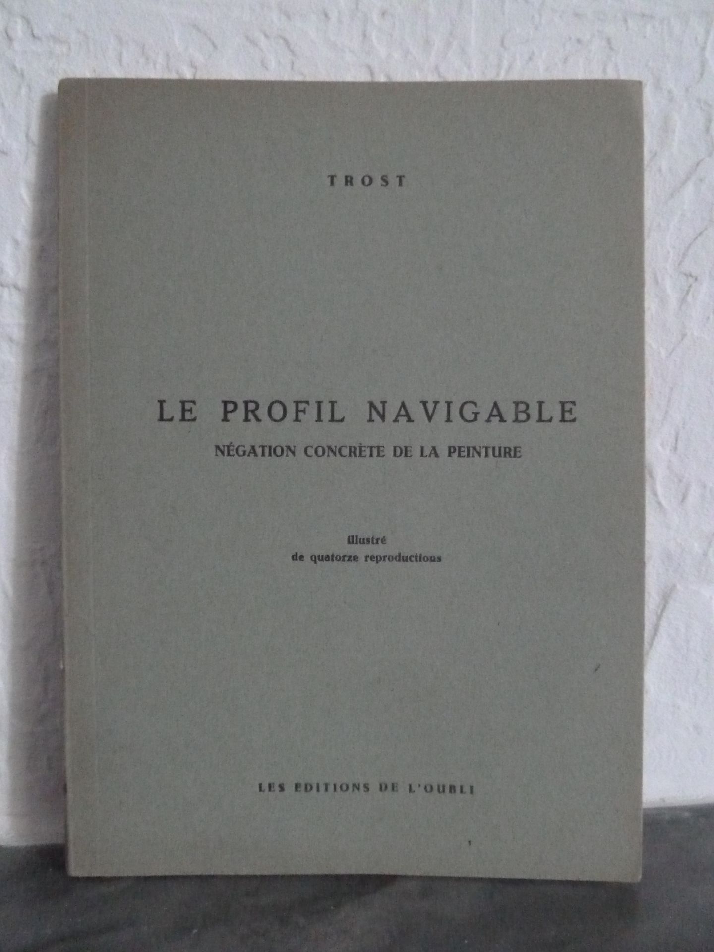 Null (Corti) TROST: The Navigable Profile. Concrete negation of the painting.S.L&hellip;