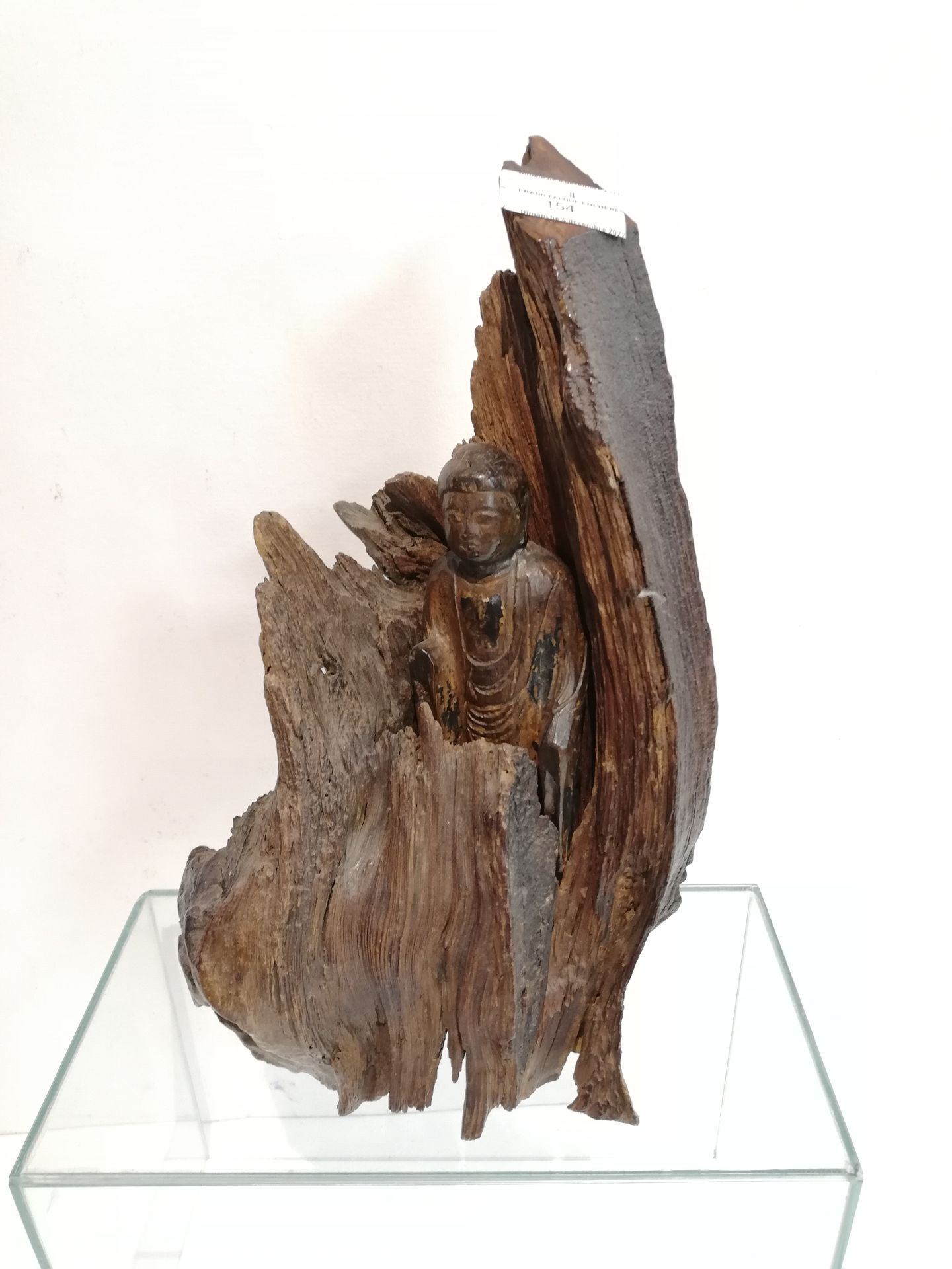 Null Buddha in carved wood presented in a root Ht total 33cm