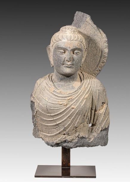 Null Torse de Bouddha en schiste. H : 36,5 cm. (Gandhara. Ier-Ve siècle)