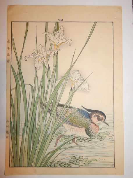 Null Imao Keinen. Oiseau près des iris, vers 1880.