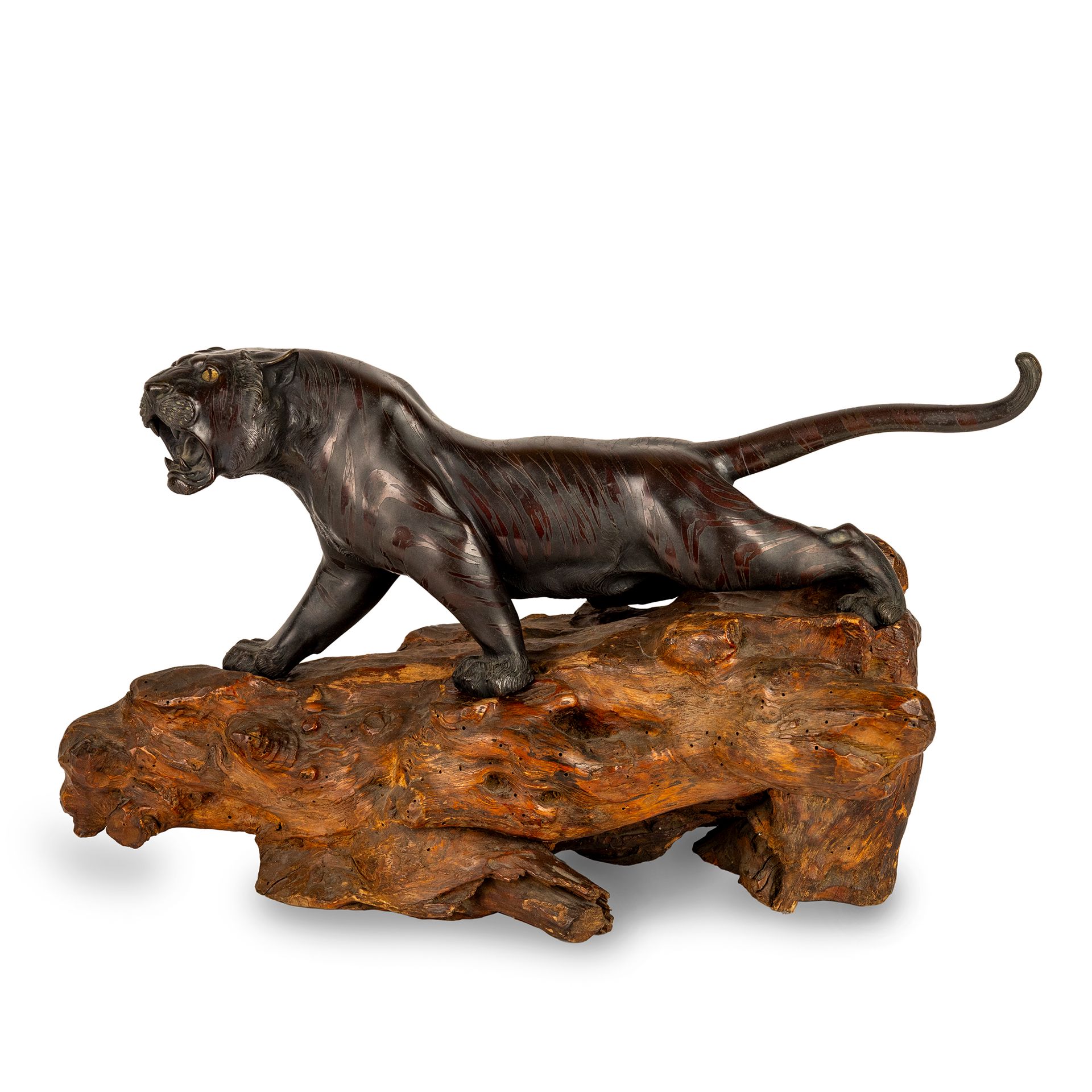 Null Patinated bronze sculpture depicting a tiger with its jaws wide open l. Cm.&hellip;