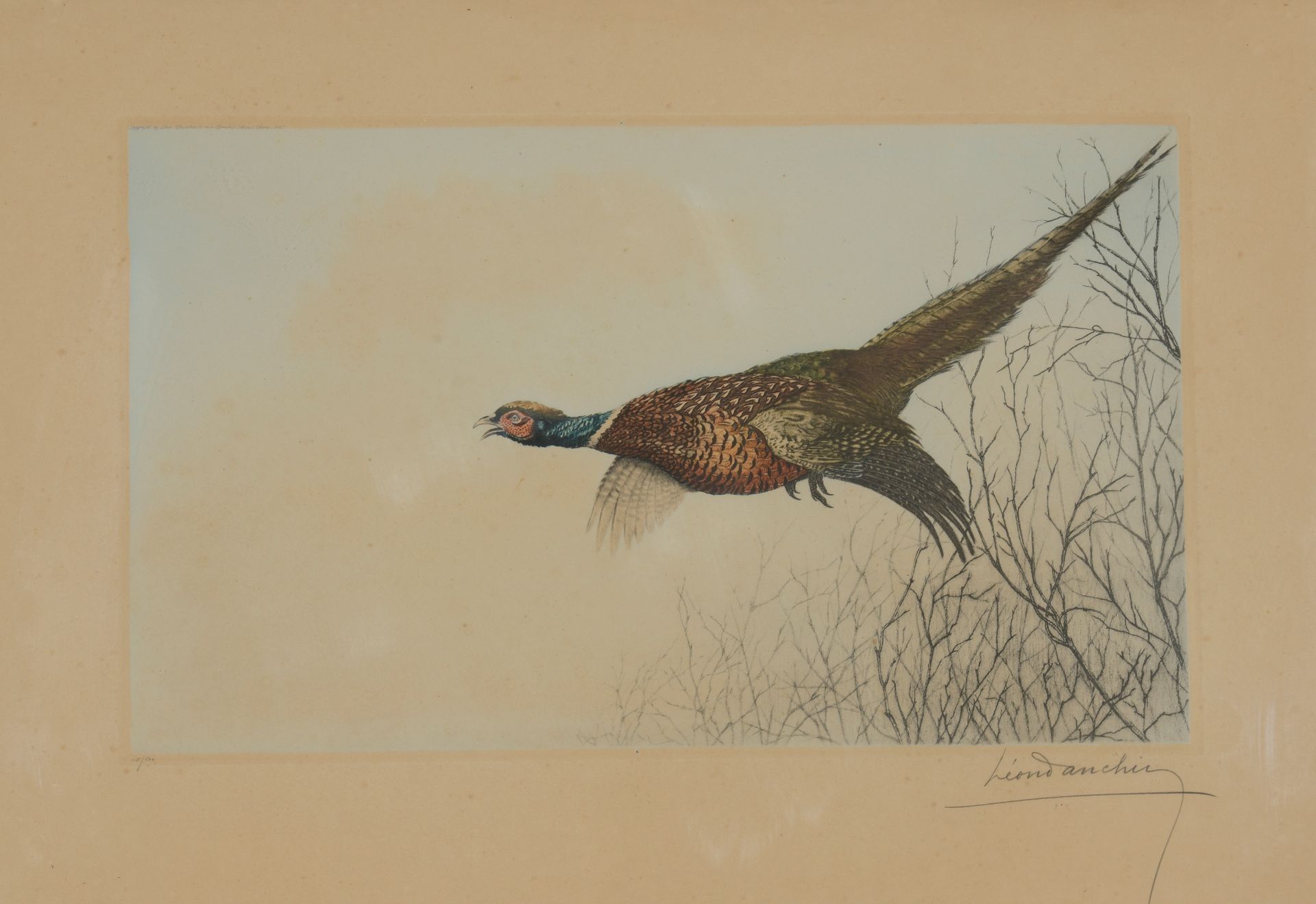 Null Léon DANCHIN (1887 - 1938)

Pheasant - Partridge robbery. 

Two signed colo&hellip;