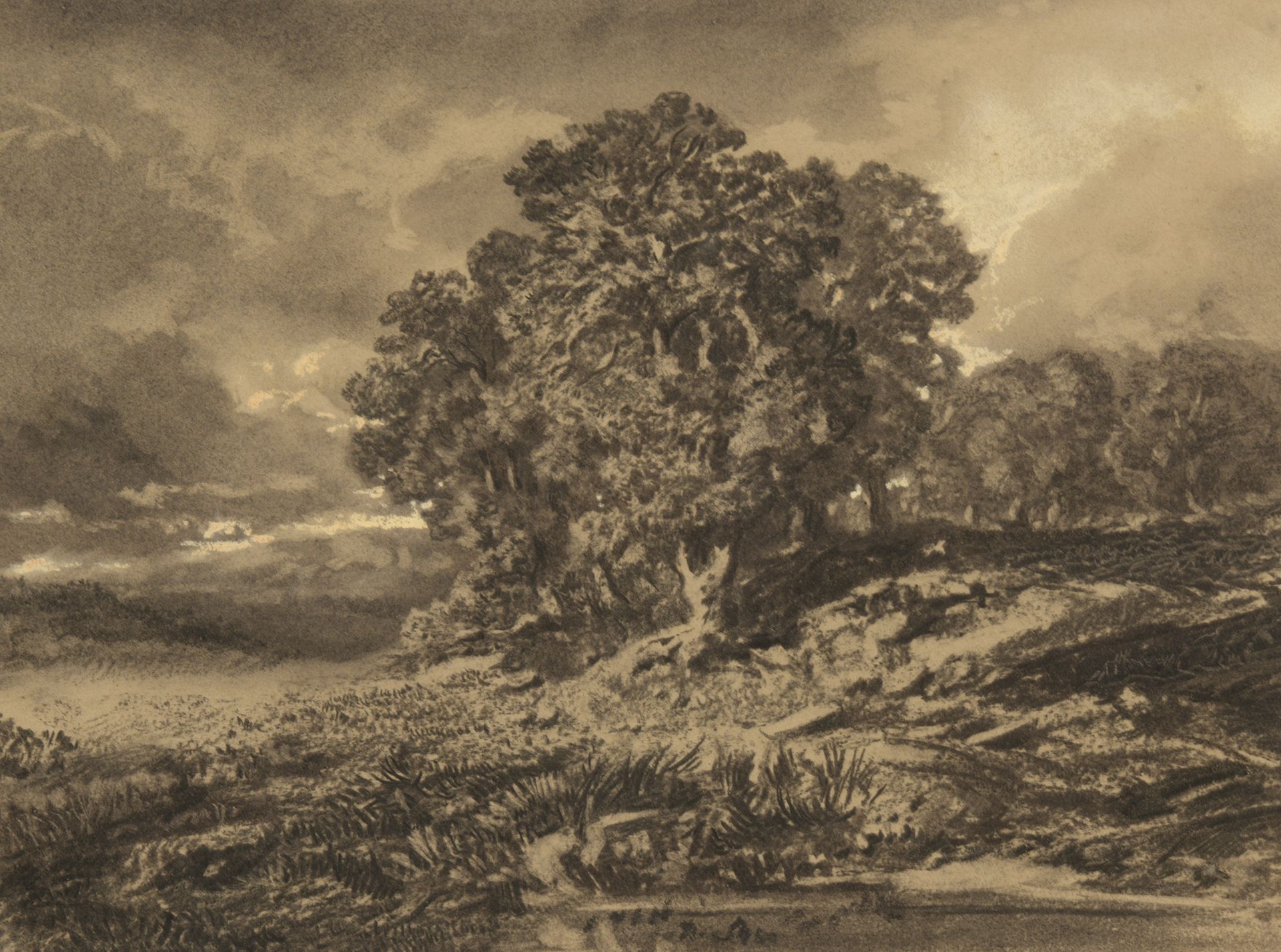 Null 奥古斯特-布尔格 (1808-1877)

一套三张图。

- 池塘边的一棵树，木炭，23 x 30厘米。

- 两幅村落图，铅笔，各23.5 x 3&hellip;