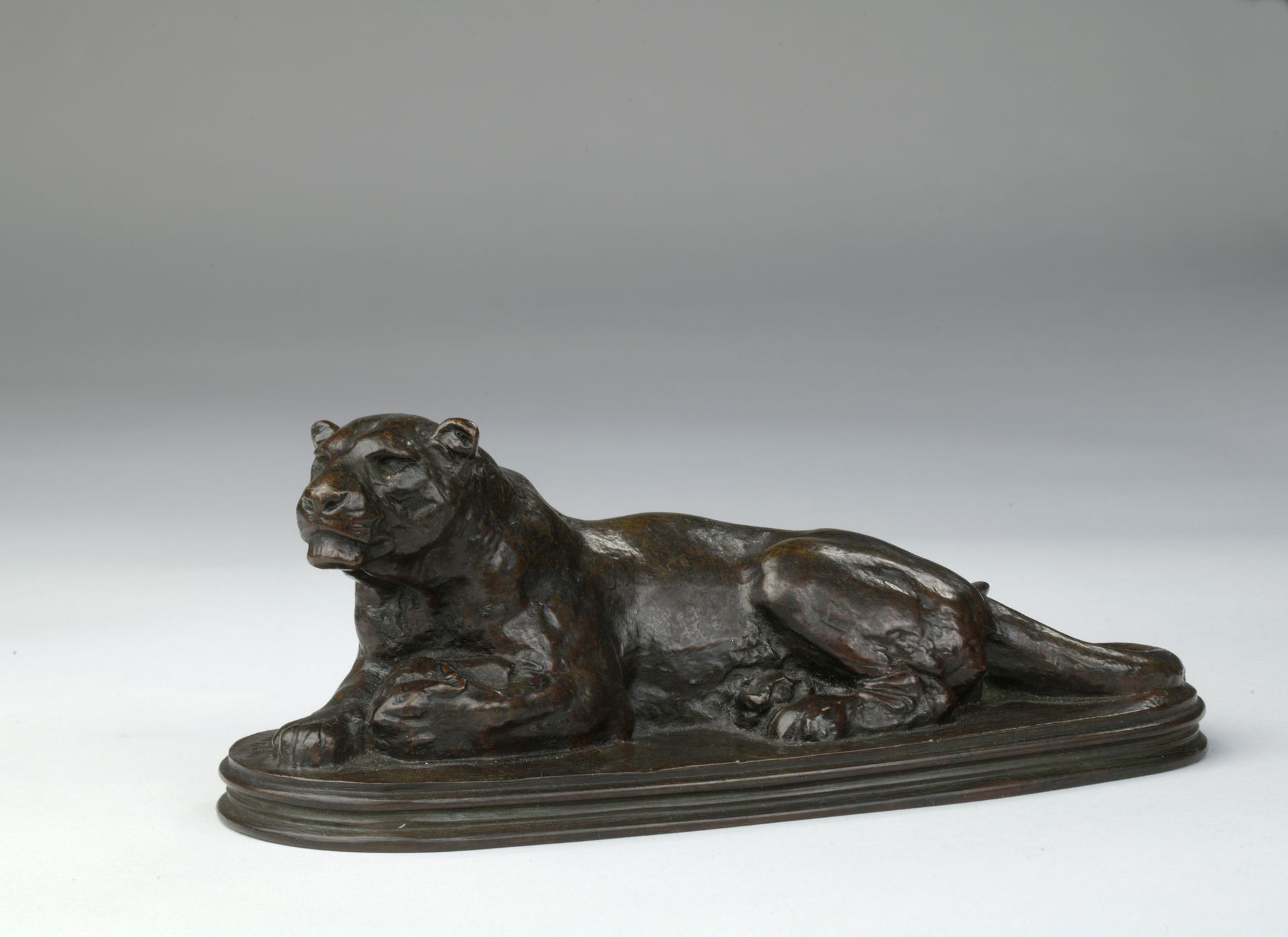 Null 安东尼-路易-巴耶 (1795-1875)

躺着的黑豹

由Barye工作室铸造，第一版约1838年 青铜，有浅棕色的铜锈，有绿色的阴影

露台正面&hellip;