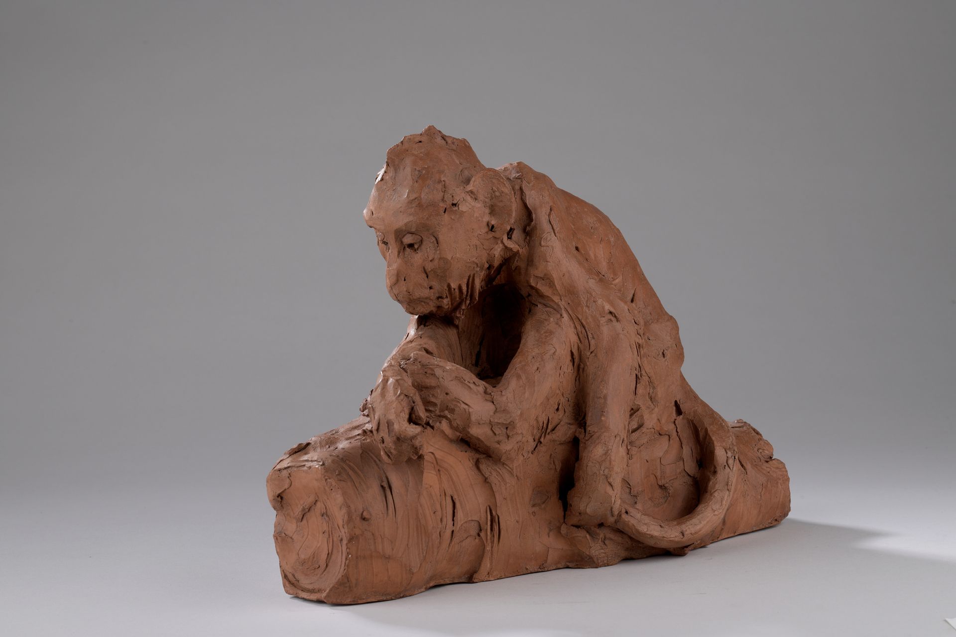 Null 阿利-比特 (1883-1973)

猴子

陶器

背面签有 "Ary Bitter"。

H.23 x W. 29 x D. 13 cm



阿&hellip;