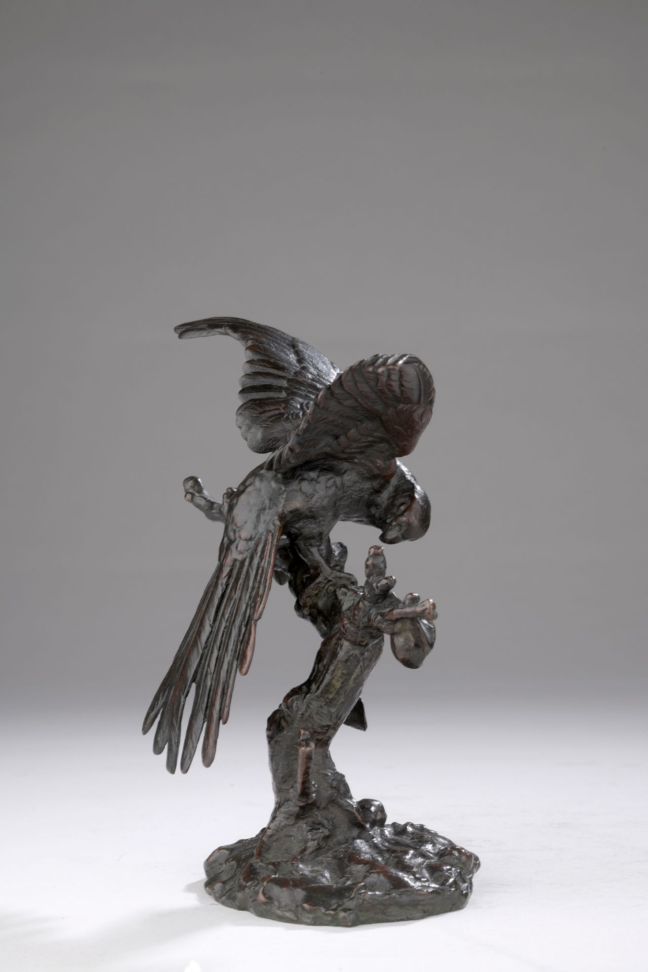 Null 安托万-路易斯-巴耶（1795-1875）

鹦鹉在树上，头转向右边

创建于1845年的模型

1857年至1875年期间由Barye工作室铸造

&hellip;