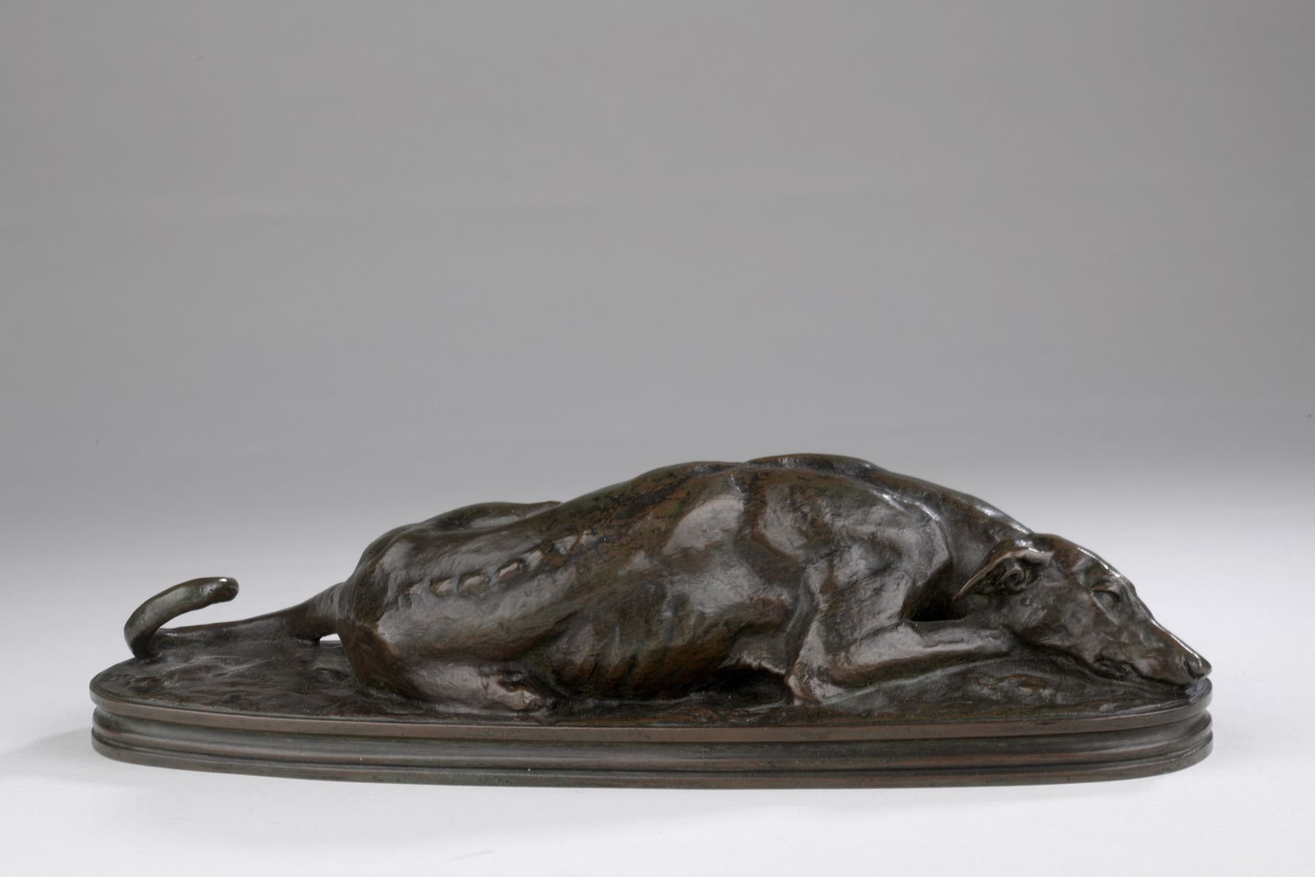 Null 安托万-路易-巴耶 (1795-1875)
躺着的灰狗
1857年至1875年间由巴耶工作室铸造 
青铜，带有棕色的铜锈
签名为 "BARYE
内侧刻&hellip;