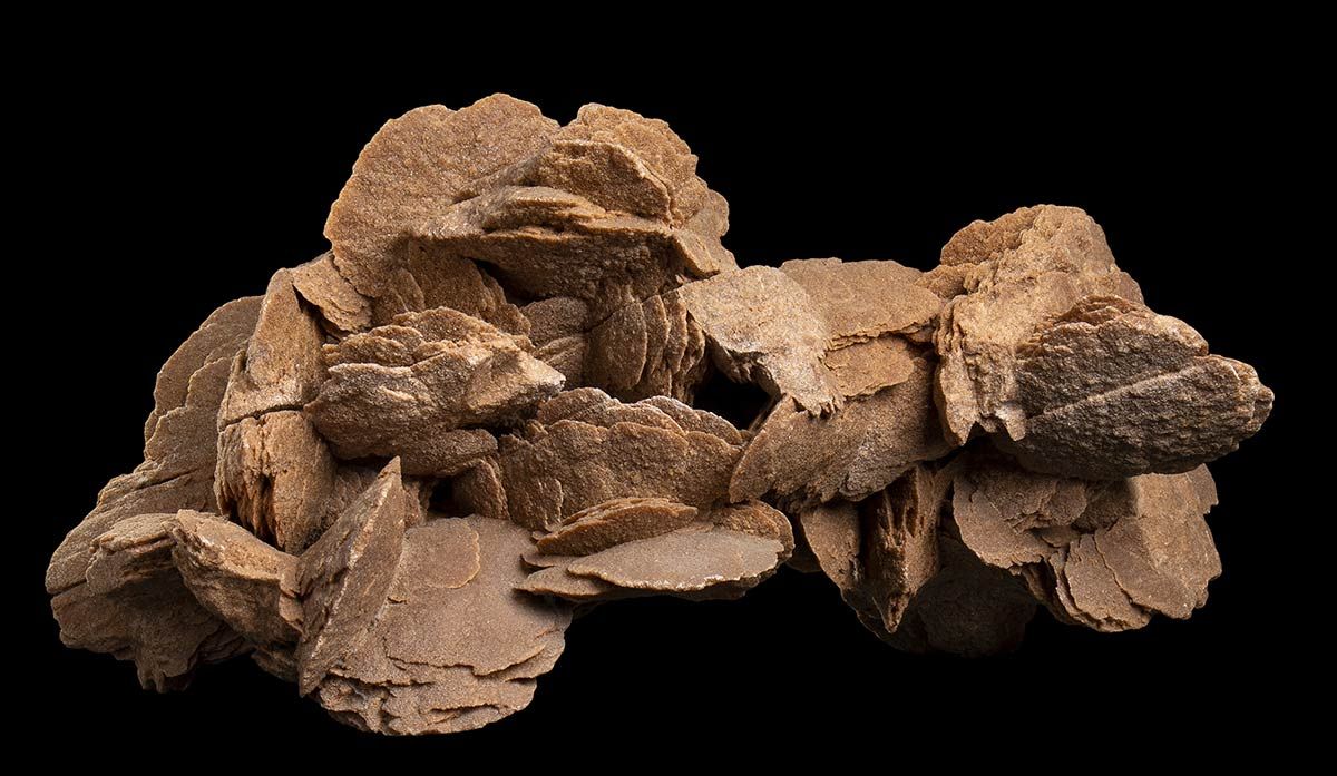 DESERT ROSE Large fragment of desert rose. Dimensions: 56 X 34 X 30