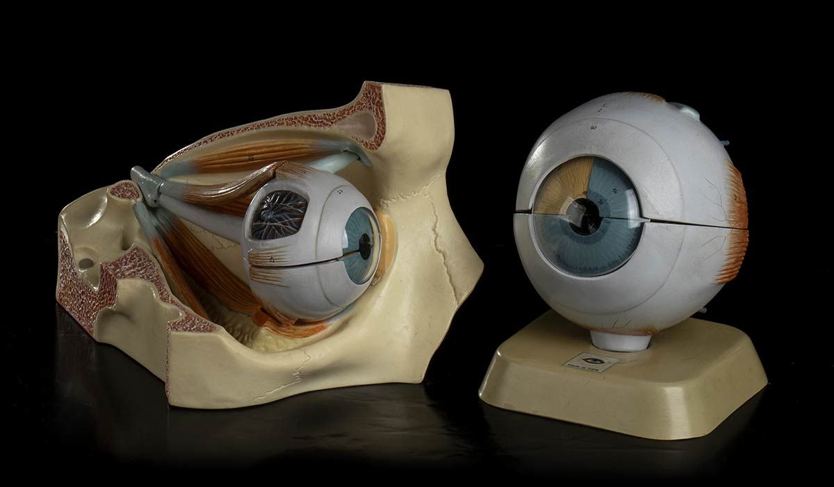 ANATOMICAL EYES (TWO 1960 MODELS) Group of three scientific iron compasses. Size&hellip;