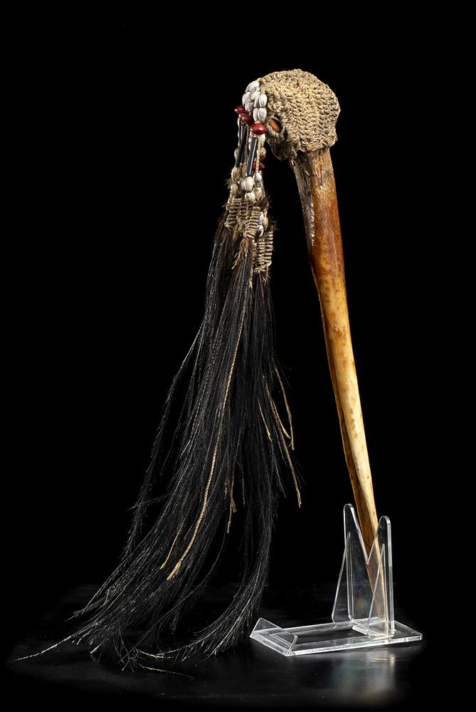CASUARIO BONE PAPUA NEW GUINEA 巴布亚新几内亚的阿斯马特部落中用作刀子的仪式性眼镜蛇骨。20世纪上半叶。高38厘米。