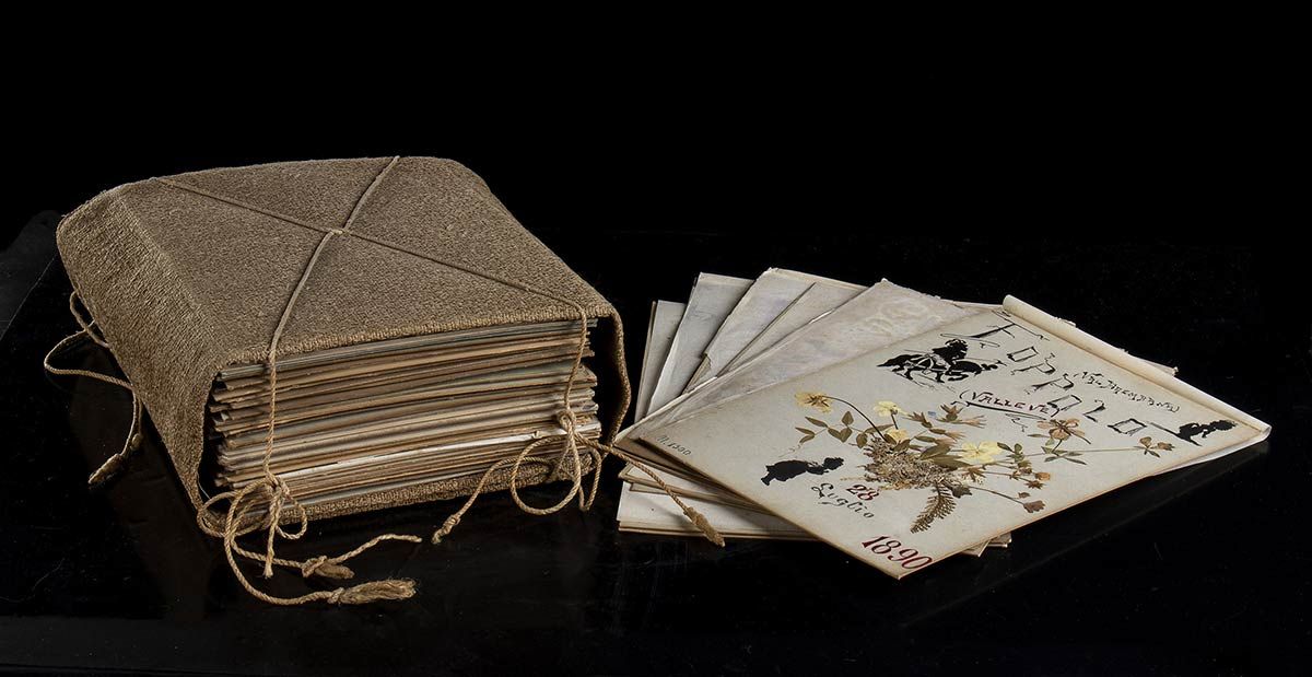 ANCIENT HERBARIUM Antiguo herbario compuesto por 57 láminas escritas, ensamblada&hellip;