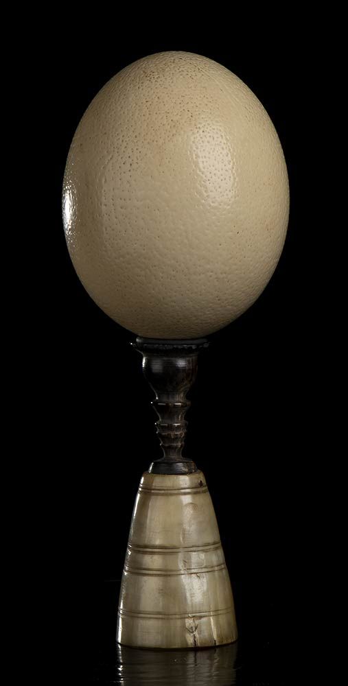 OSTRICH EGG WITH BASE Un ancien œuf d'autruche (Struthio Camelus) sur une ancien&hellip;