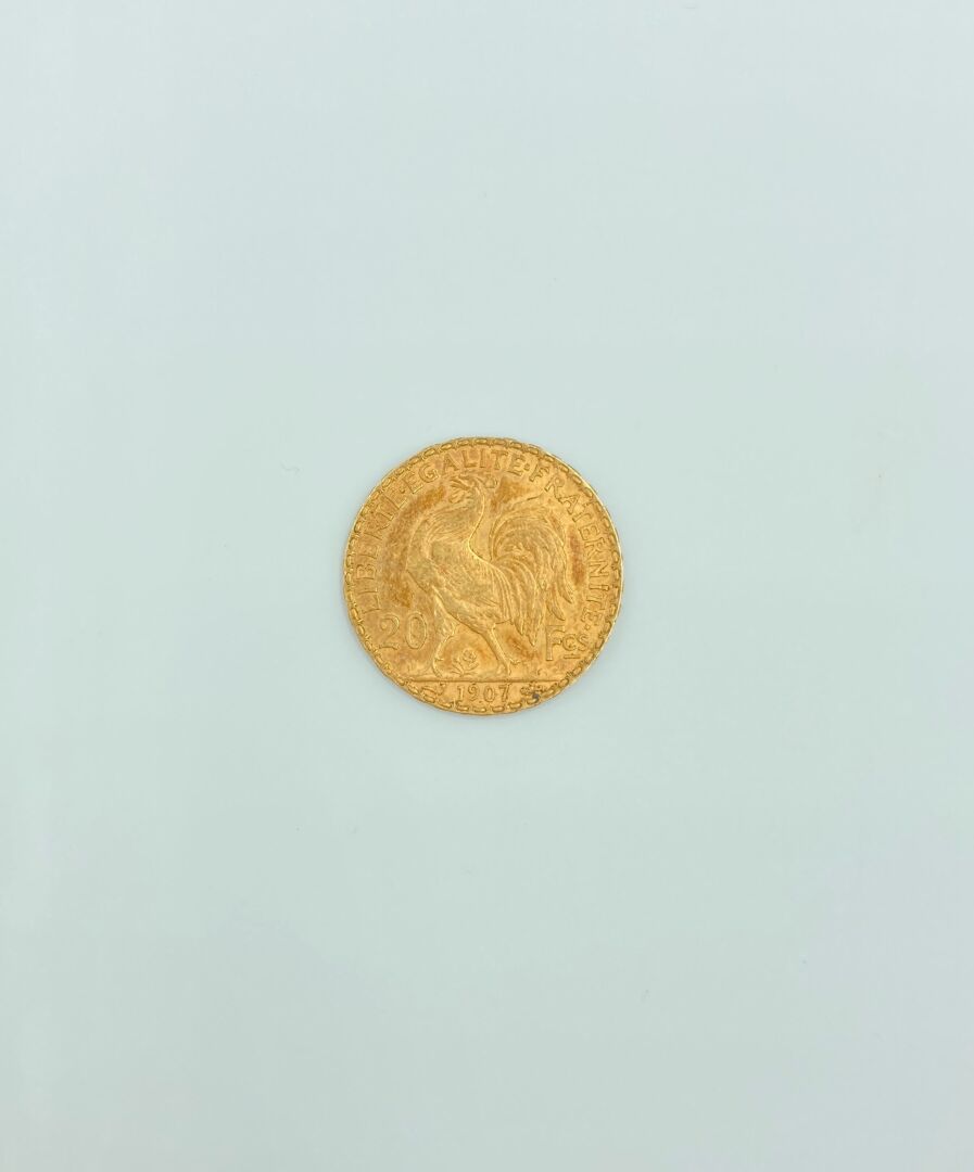 Null 法国 - 20世纪

20法郎金币，Coq，1907年

重量：6.45克。

磨损的