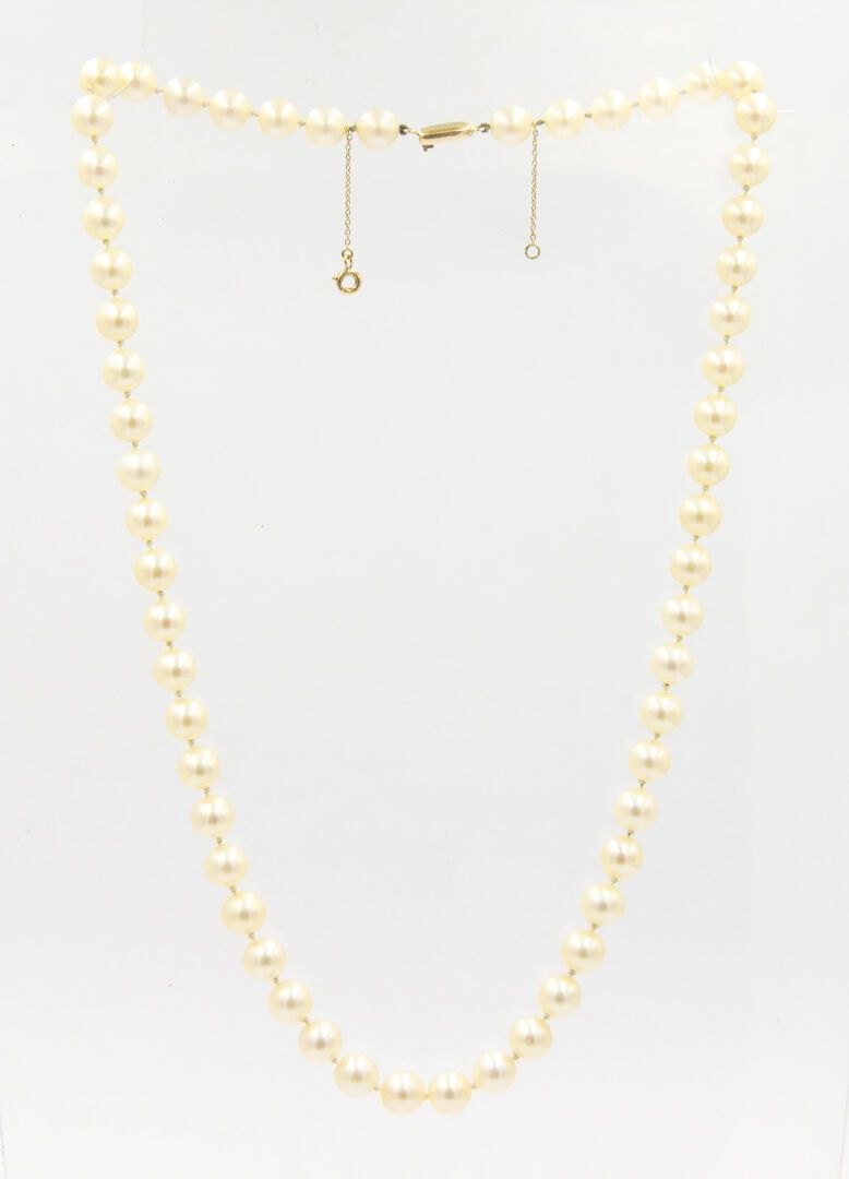 Null SIGLO XX 

Collar de perlas cultivadas en otoño, cierre de carraca en oro 7&hellip;