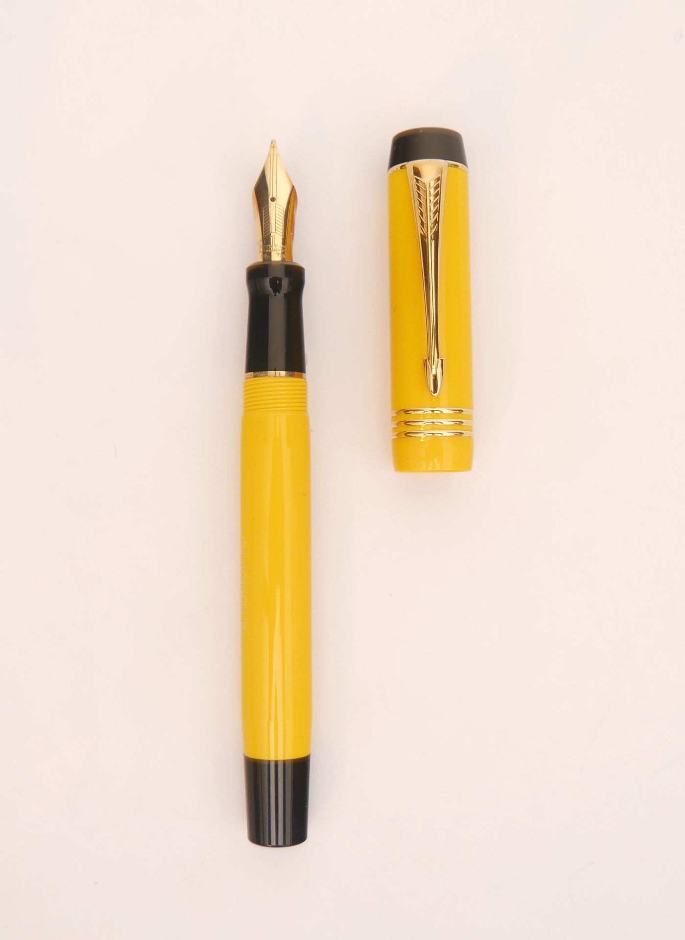 Null 帕克

多福文华黄

Duofold钢笔，黄色和黑色丙烯酸和金色金属，750/1000中号金笔尖

帽尖刻有Parker Duofold Mandar&hellip;