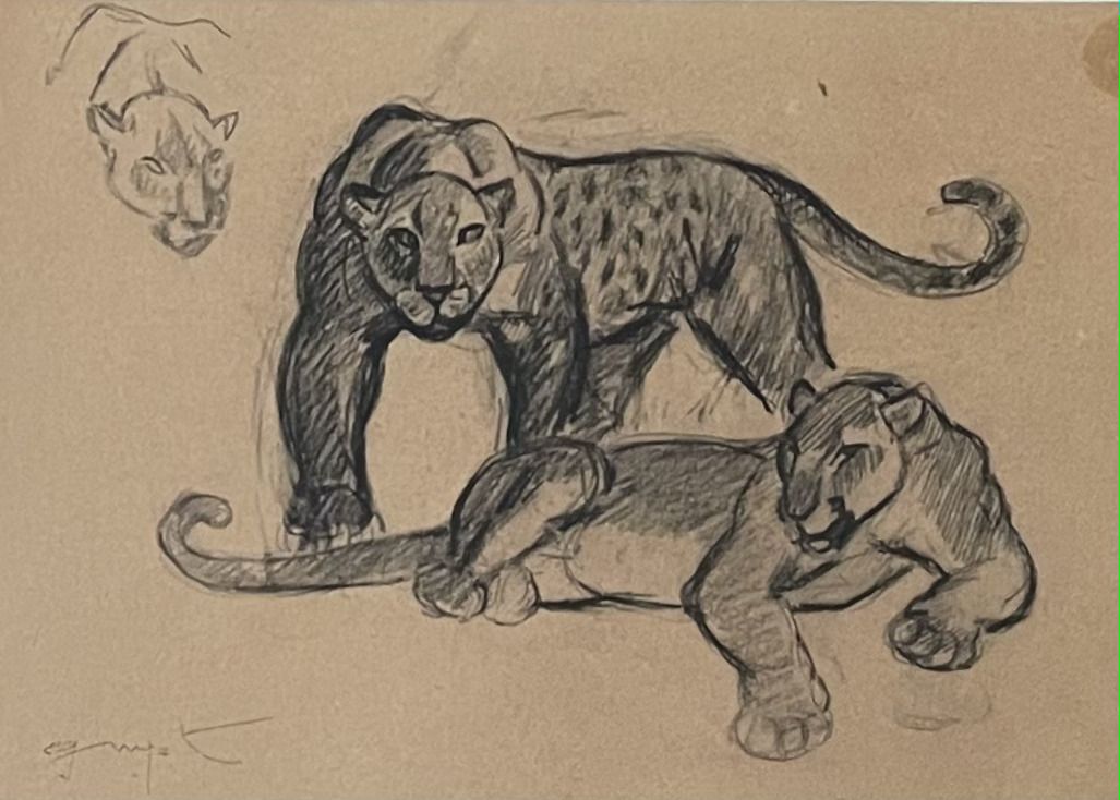 Georges Lucien GUYOT (1885-1973) 
Etude de Panthères 
Fusain sur papier 
Signé e&hellip;